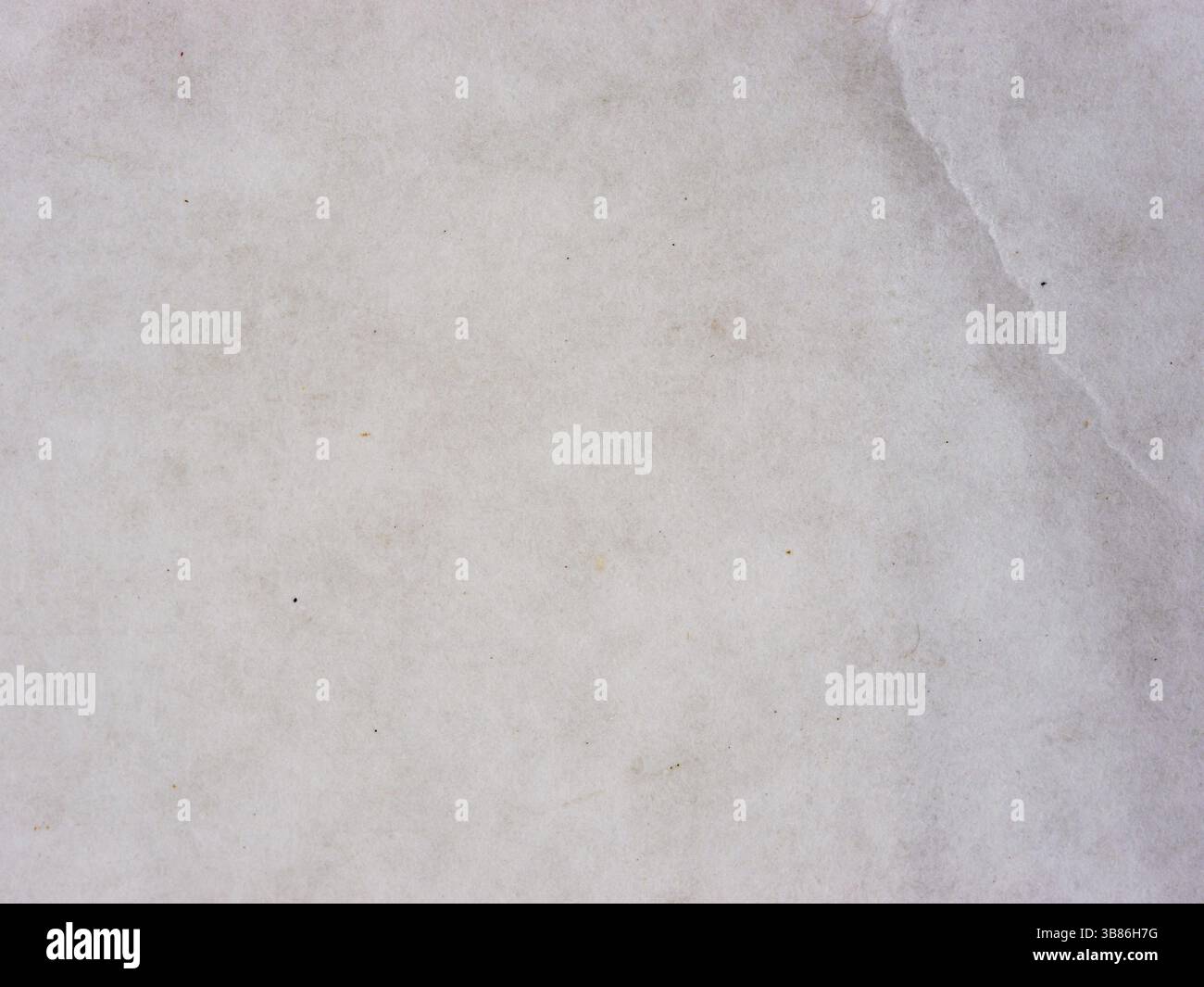 Grana del white paper come sfondo. Macro, primo piano. Sfondo testurizzato e sfondo Foto Stock