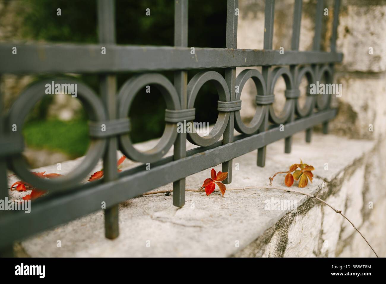 Recinzione in ferro battuto nel giardino su una base in pietra. Primo piano. Foto Stock