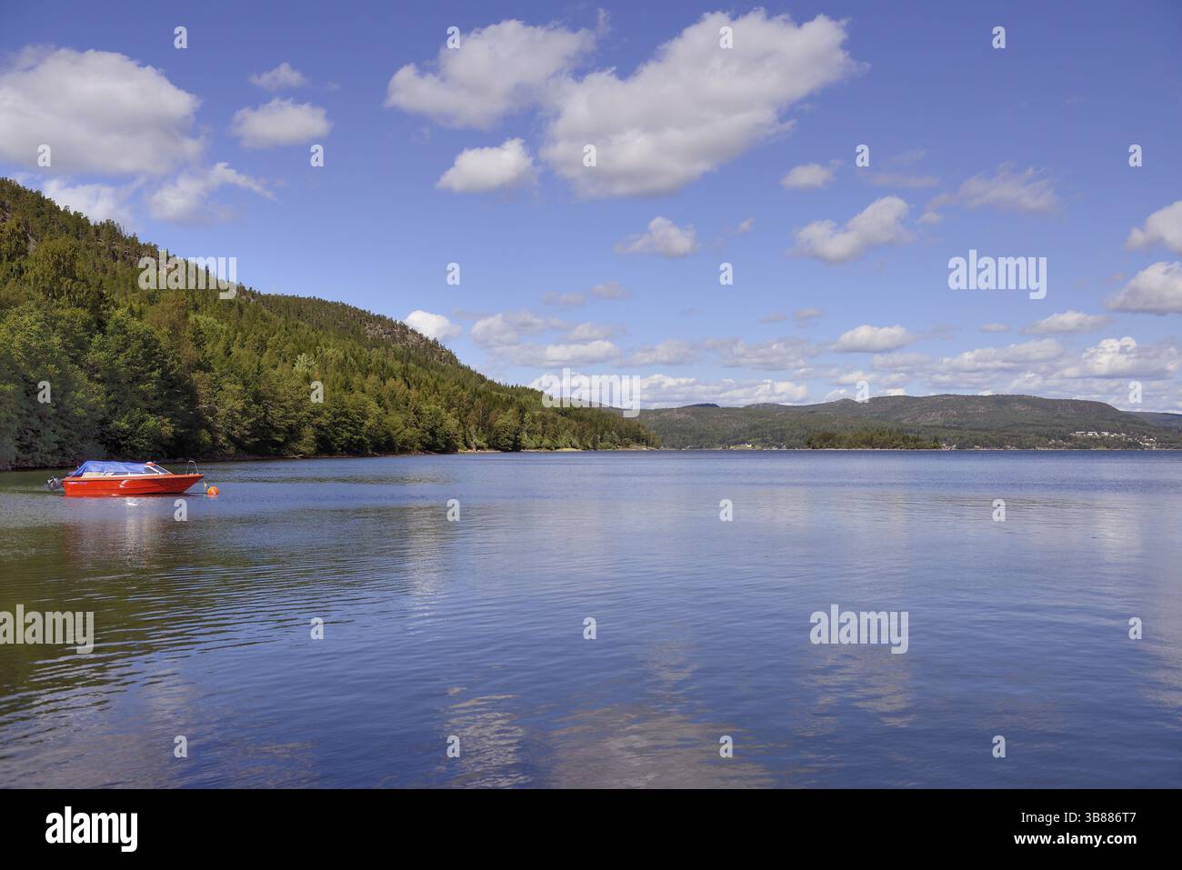 Panorama delle alte coas (hoga kusten) in Svezia estiva Foto Stock