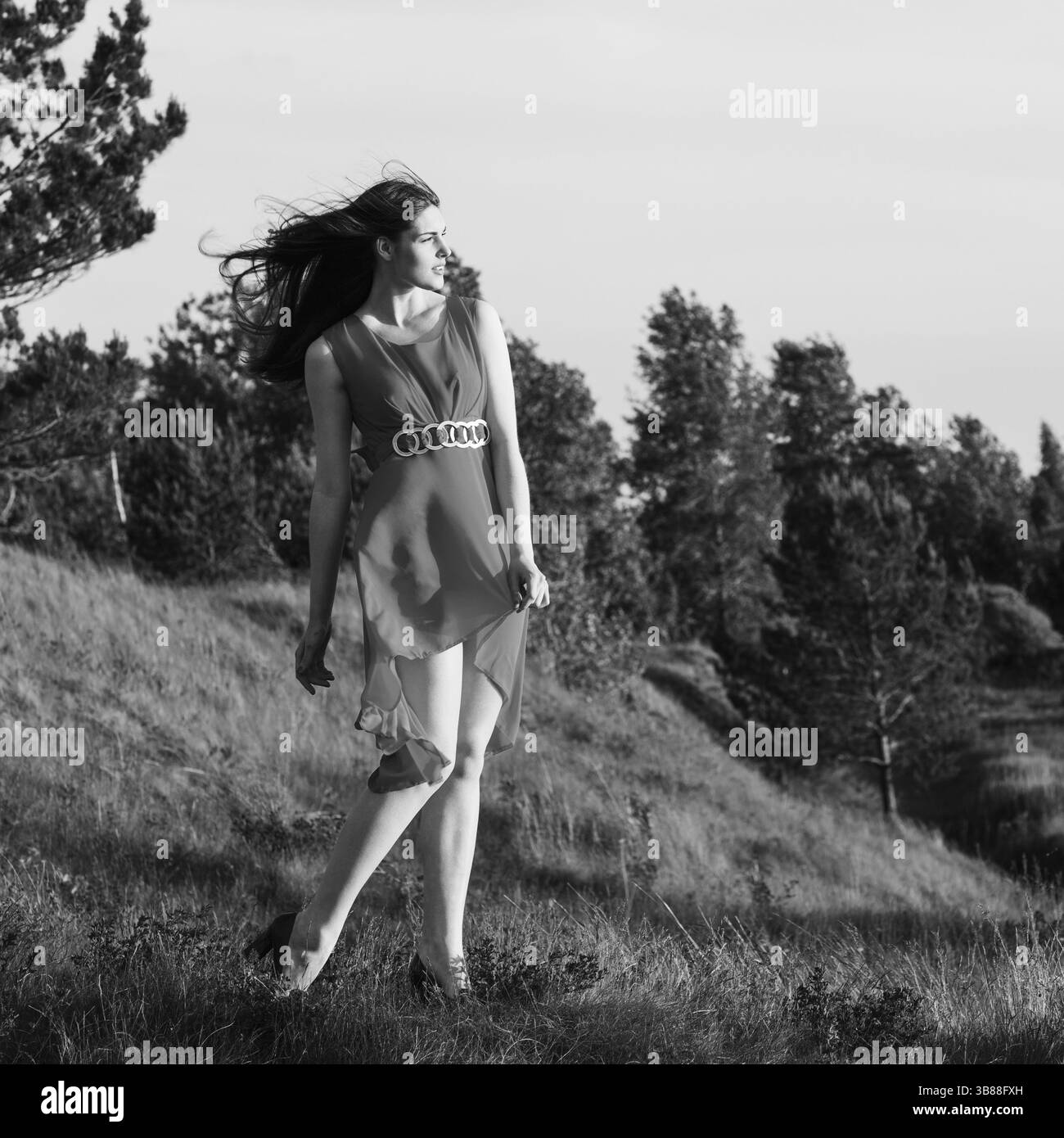 Bella ragazza al precipizio. Il vento curva il suo vestito e i suoi capelli Foto Stock