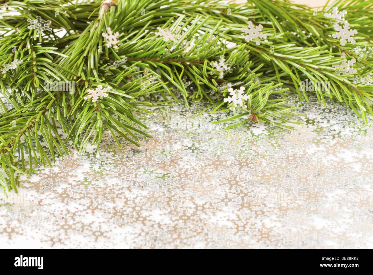 Il ramo dell'abete e le fiamme della neve coriandoli con spazio di copia. Buon Natale e Capodanno Foto Stock Il ramo dell'abete e le fiamme della neve coriandoli con spazio di copia. Buon Natale e Capodanno Foto Stock