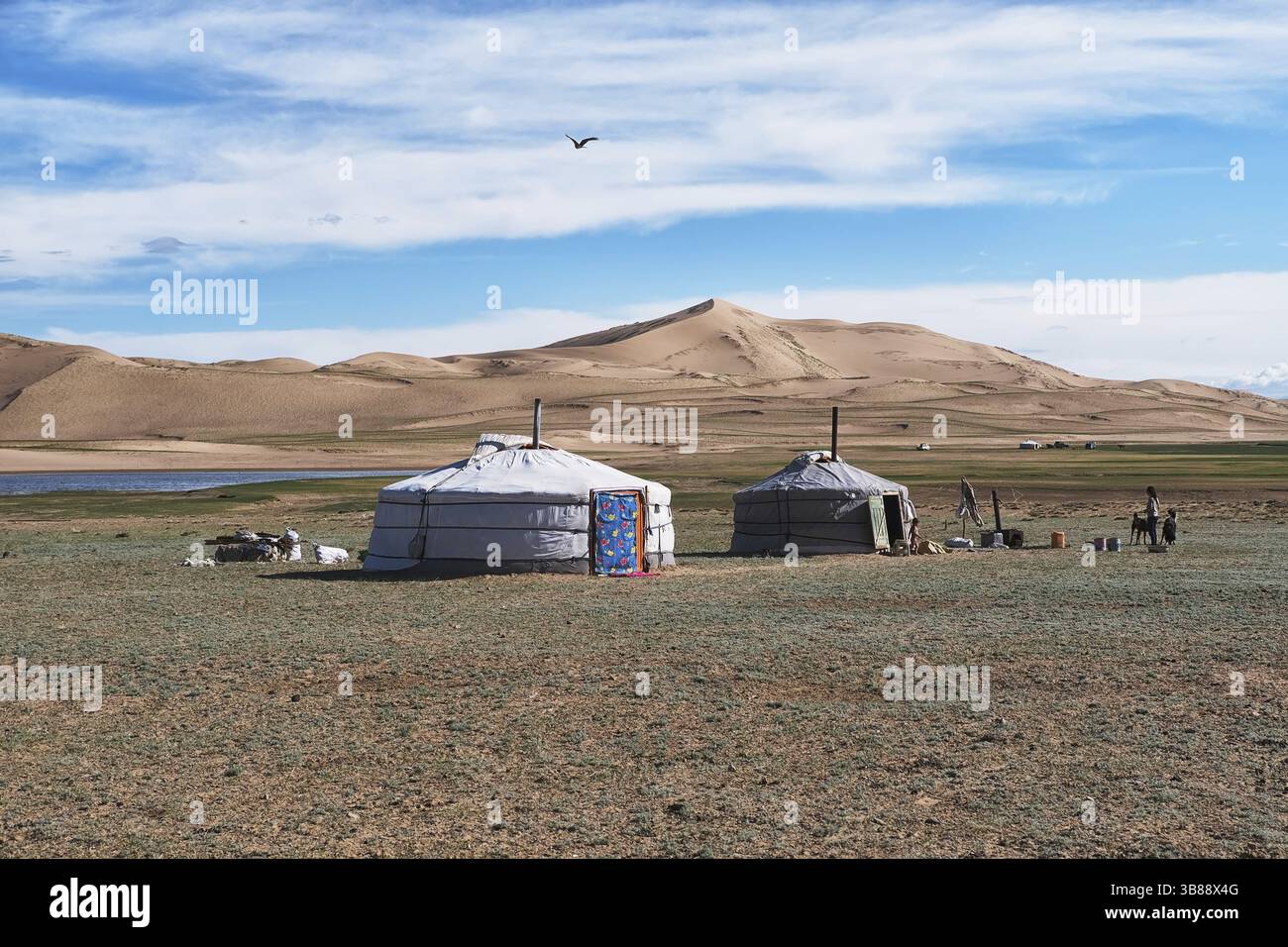 MONGOLIA occidentale, - GIUGNO 2019: Yurta nomade mongola tradizionale. Accamparsi al confine del deserto sabbioso. Mongol-Els, Mongolia occidentale Foto Stock
