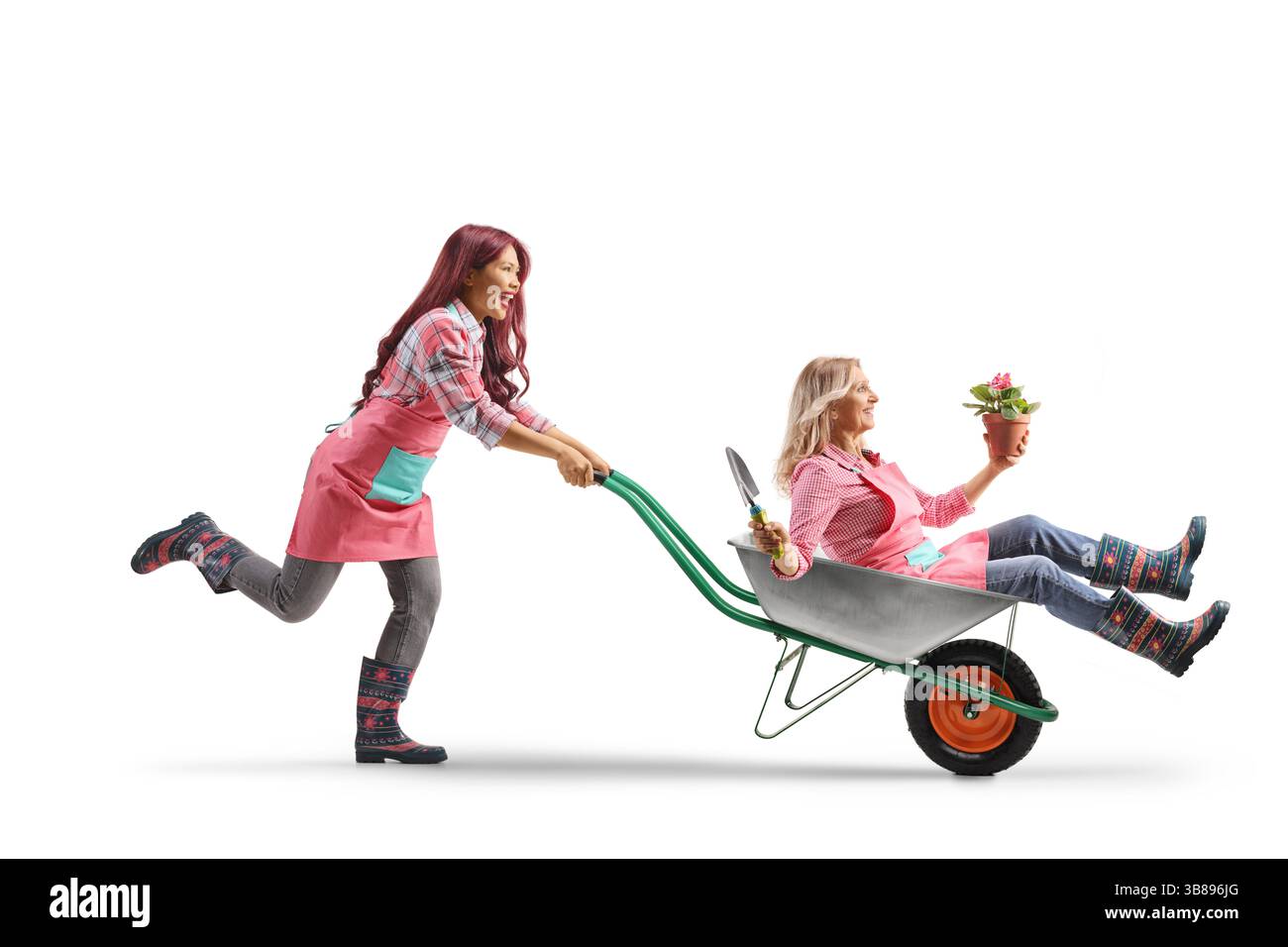 Donna asiatica giardiniere che spinge una donna in una carriola isolata su sfondo bianco Foto Stock