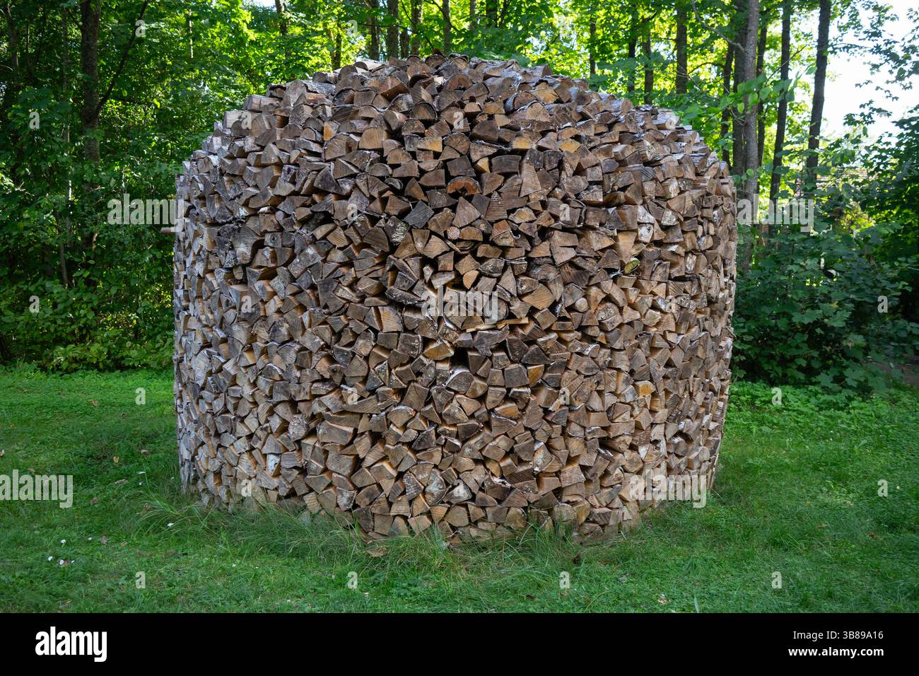 Un mucchio di legno è impilato in un grande contenitore rotondo. Il legno è accumulato in alto e il contenitore è quasi pieno. La scena è ricca e abbondante Foto Stock