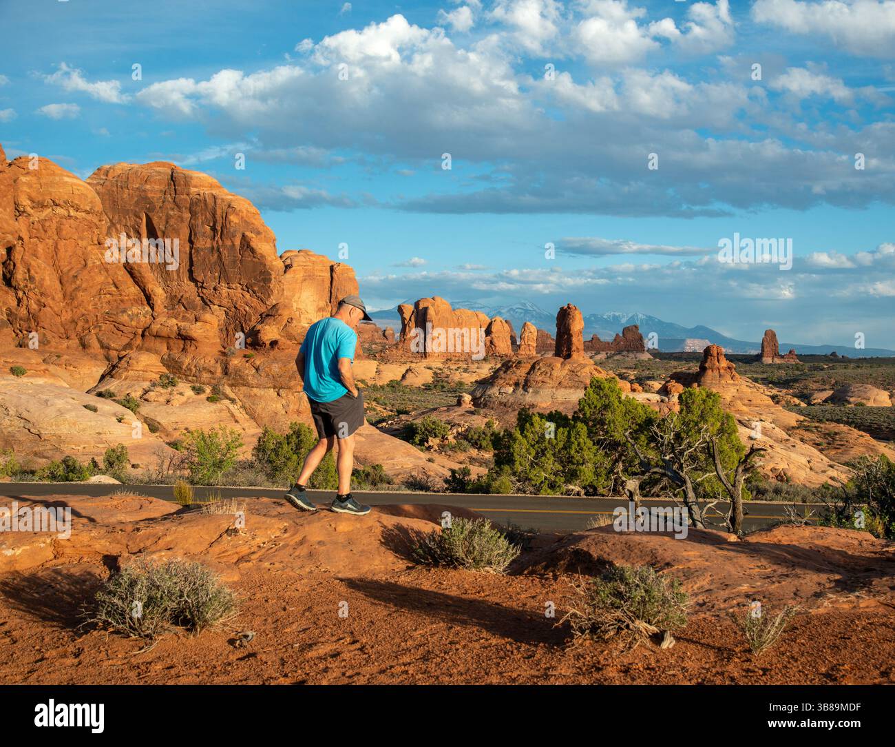 Un maschio adulto che girovagava per l'Arches National Park, Utah. Foto Stock
