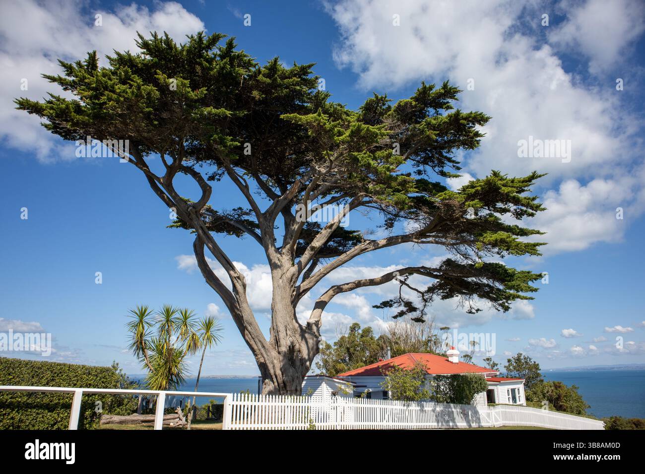 La casa dei Rangers sull'isola Tiritiri Matangi Foto Stock