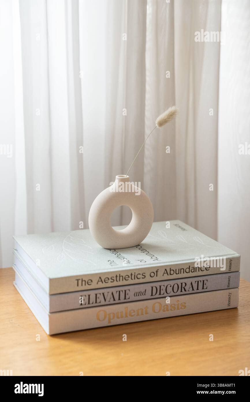 Libri decorativi impilati con vaso di ciambella minimalista e fiore essiccato Foto Stock