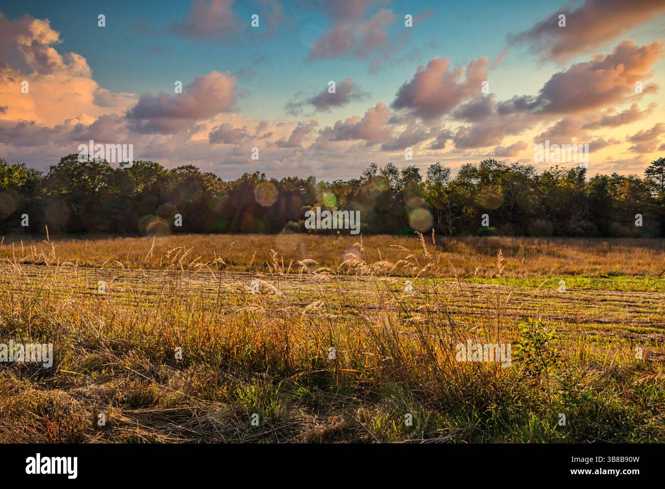 Campo di battaglia della guerra civile americana Bullrun Foto Stock