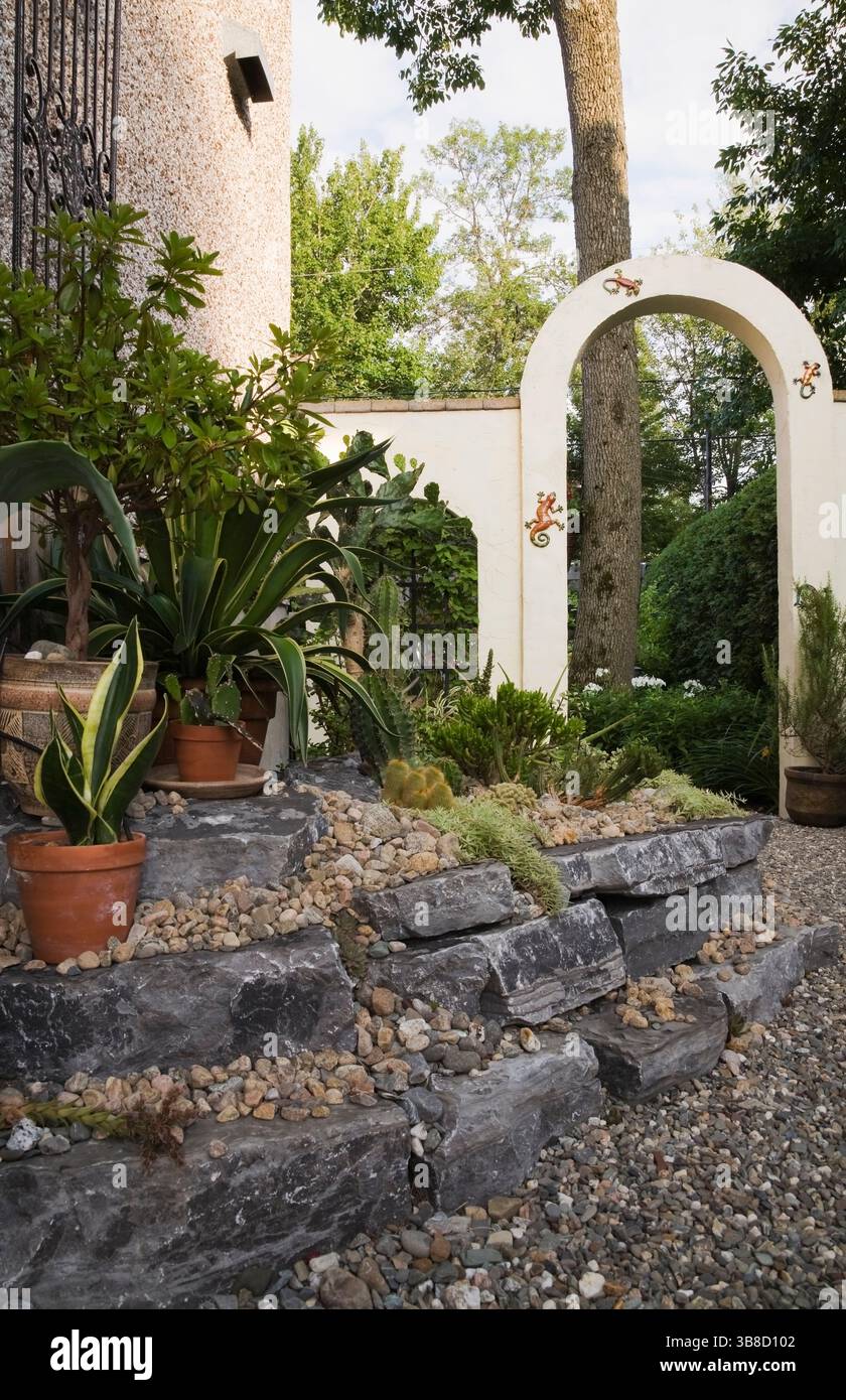 Aiuole rialzate in ghiaia e pietra con le collezioni Sedum - Stonecrop e Agave nel giardino sul retro in estate. Foto Stock