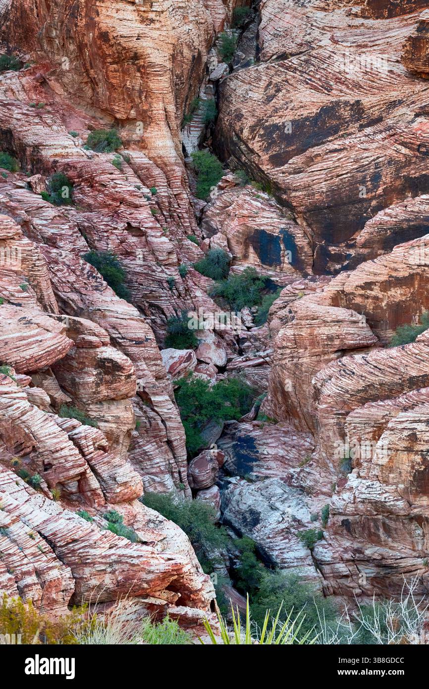 Strutture rocciose di gola a Red Rock Canyon, Nevada, Stati Uniti Foto Stock