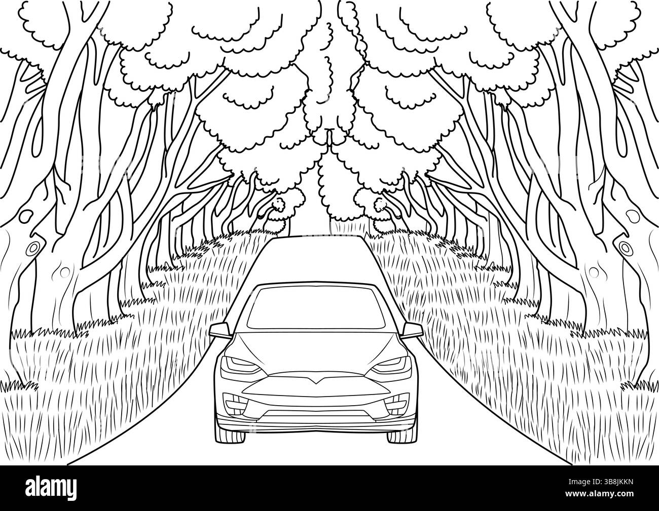 Semplice illustrazione con linee bianche e nere che mostra un'auto moderna che guida su una strada delimitata da alberi fitti e erba, creando un tunnel naturale e. Illustrazione Vettoriale