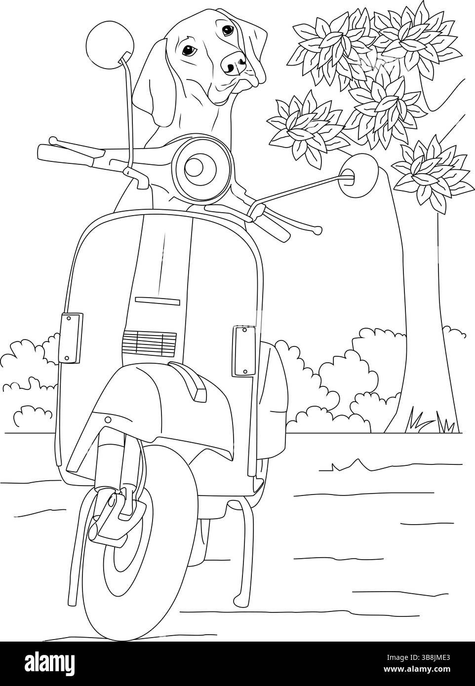 Linea bianca e nera che raffigura un simpatico cane seduto su un vecchio scooter d'epoca all'aperto. Illustrazione Vettoriale