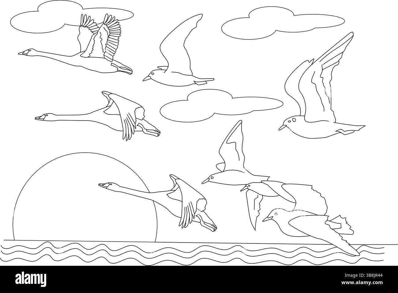 Semplice disegno in bianco e nero che raffigura un gruppo di vari uccelli, tra cui cigni o oche e gabbiani, che volano attraverso il cielo sopra l'acqua. La sc Illustrazione Vettoriale