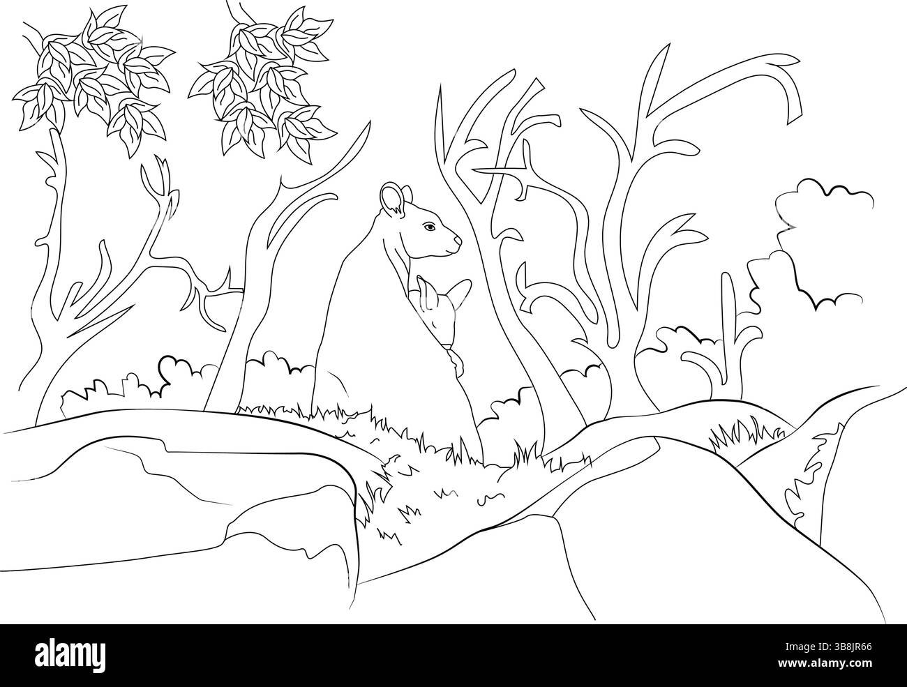 Linee bianche e nere che illustrano canguri, madre e joey, nel loro habitat naturale selvaggio australiano, adatto per colorare libri o simp Illustrazione Vettoriale