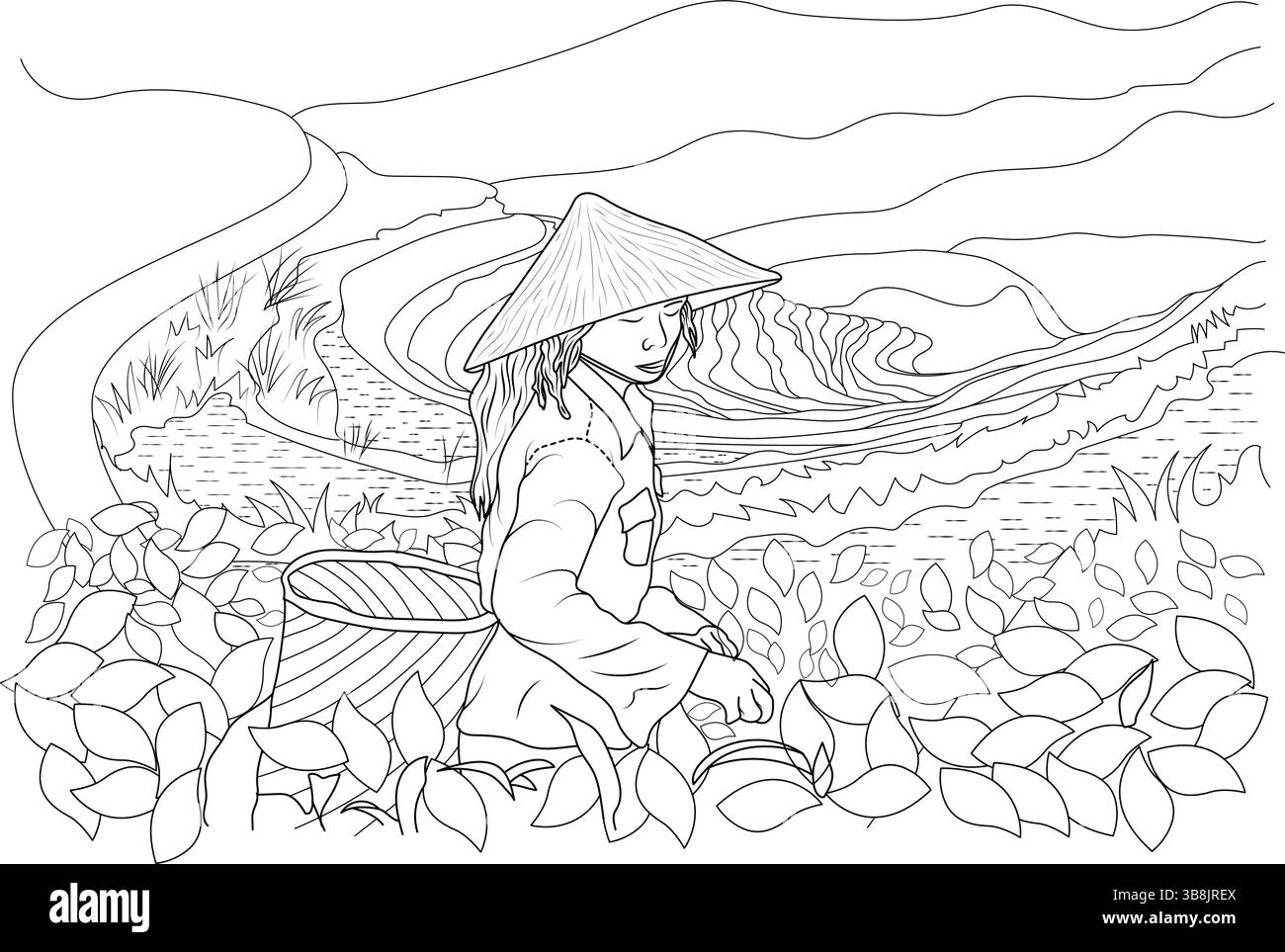 Illustrazione in linea bianca e nera perfetta per una pagina di libro da colorare, raffigurante una donna che indossa un cappello conico mentre raccoglie le foglie di tè in una terra Illustrazione Vettoriale
