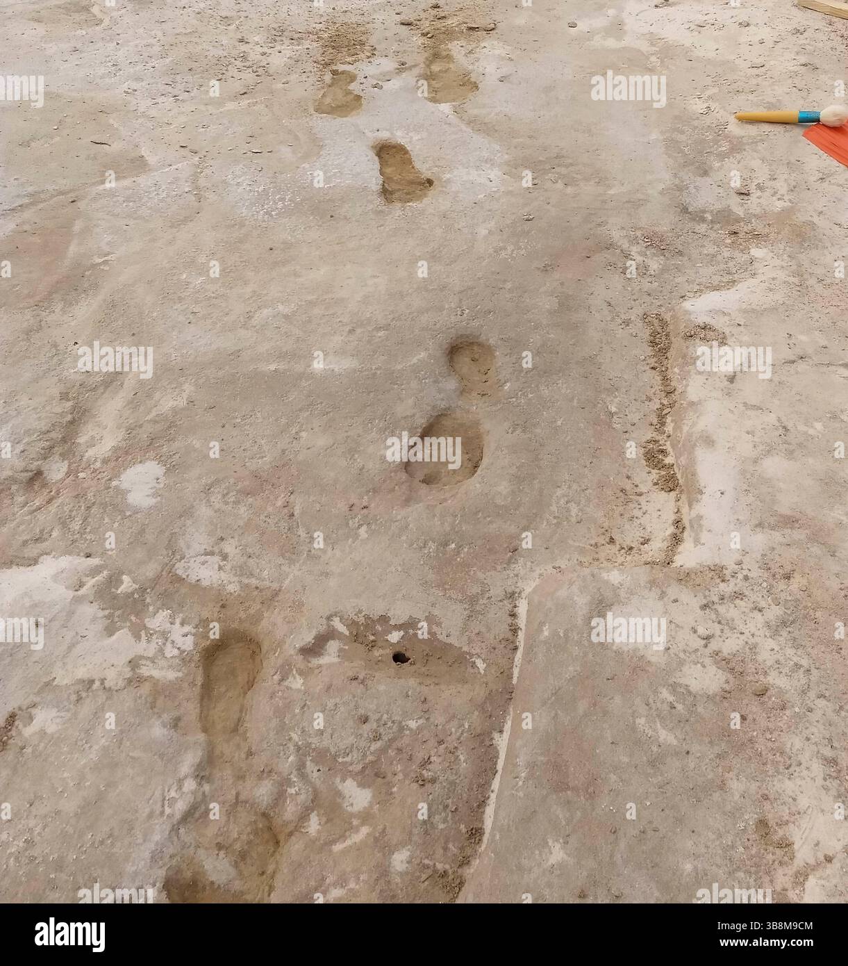 15 gennaio 2020, White Sands NP, NEW MEXICO, Stati Uniti d'America: Fossilized Ice Age Human Footprints set in gypsum mud that harged to rock stimato a 23.000-21.000 anni fa, 5 ottobre 2023 nel White Sands National Park, New Mexico, USA. L'area intorno all'antico lago di Otero è la più antica testimonianza diretta della presenza umana nelle Americhe. (Immagine di credito: © National Park Service/NPS/Planet Pix tramite ZUMA Press Wire) Foto Stock