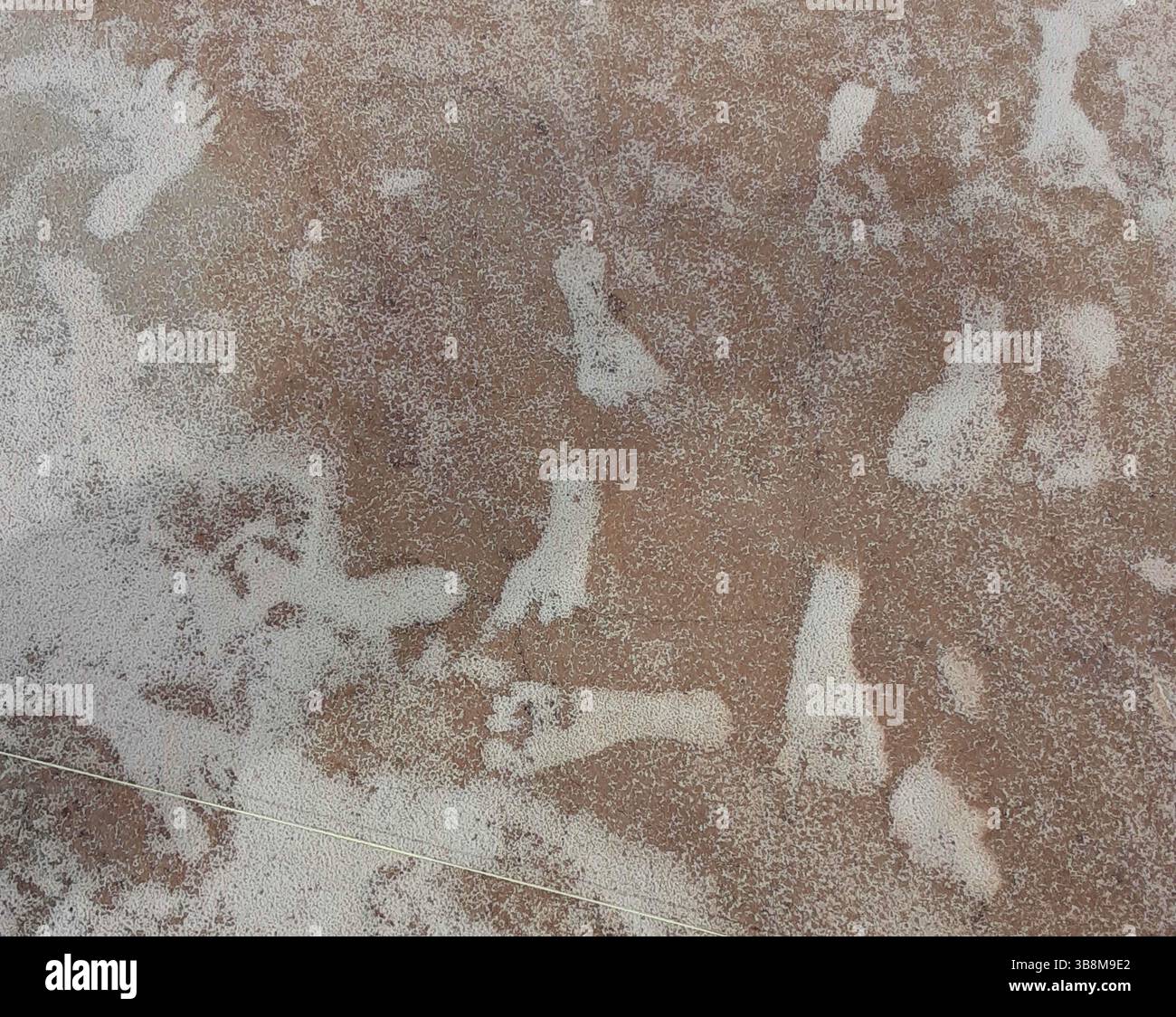 12 marzo 2020, White Sands NP, NEW MEXICO, Stati Uniti d'America: Fossilized Ice Age Human Footprints set in gypsum mud that harged to rock stimato a 23.000-21.000 anni fa, 5 ottobre 2023 nel White Sands National Park, New Mexico, USA. L'area intorno all'antico lago di Otero è la più antica testimonianza diretta della presenza umana nelle Americhe. (Immagine di credito: © National Park Service/NPS/Planet Pix tramite ZUMA Press Wire) Foto Stock