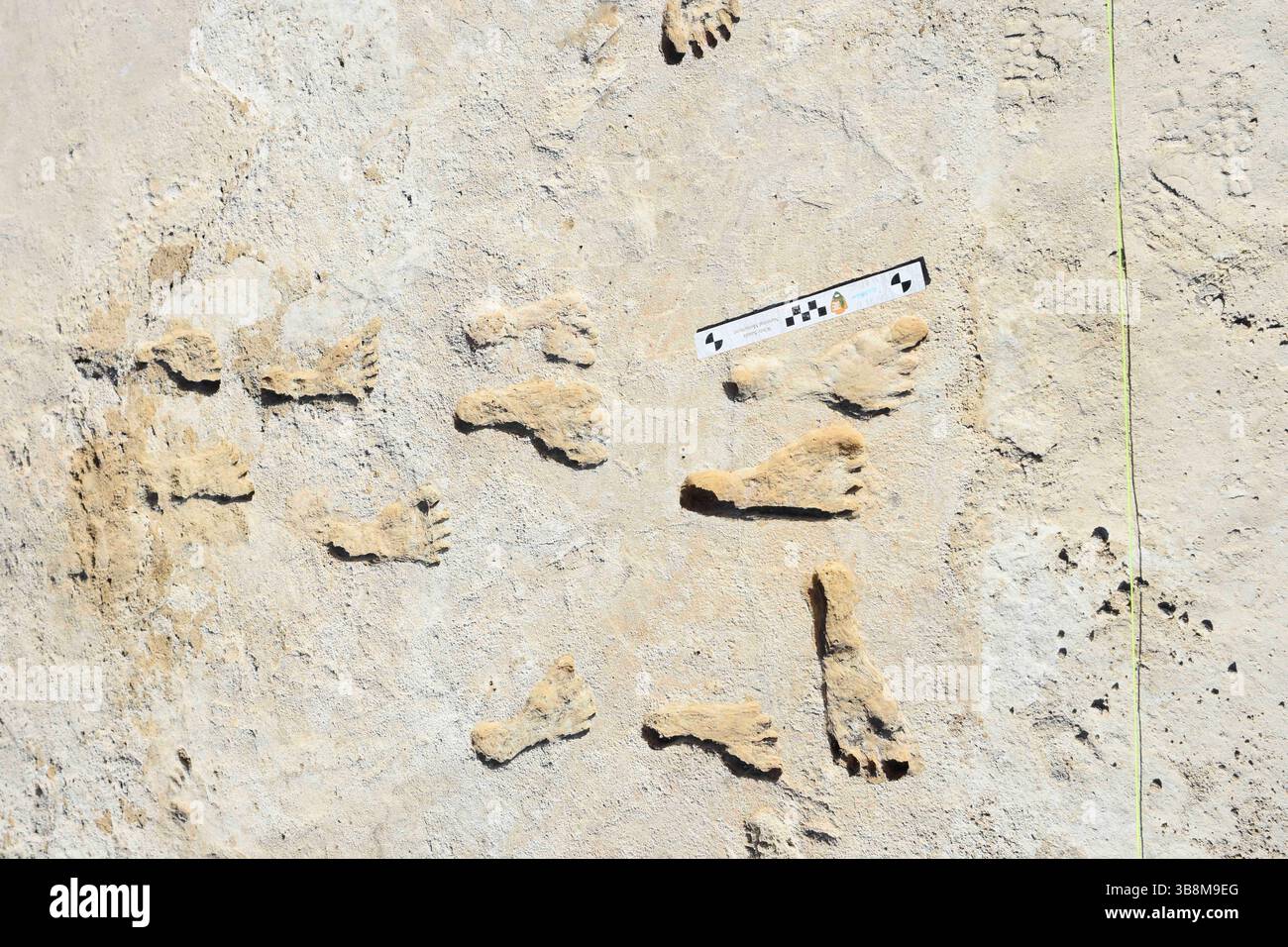 30 gennaio 2020, White Sands NP, NEW MEXICO, Stati Uniti d'America: Fossilized Ice Age Human Footprints set in gypsum mud that harged to rock stimato a 23.000-21.000 anni fa, 5 ottobre 2023 nel White Sands National Park, New Mexico, USA. L'area intorno all'antico lago di Otero è la più antica testimonianza diretta della presenza umana nelle Americhe. (Immagine di credito: © National Park Service/NPS/Planet Pix tramite ZUMA Press Wire) Foto Stock