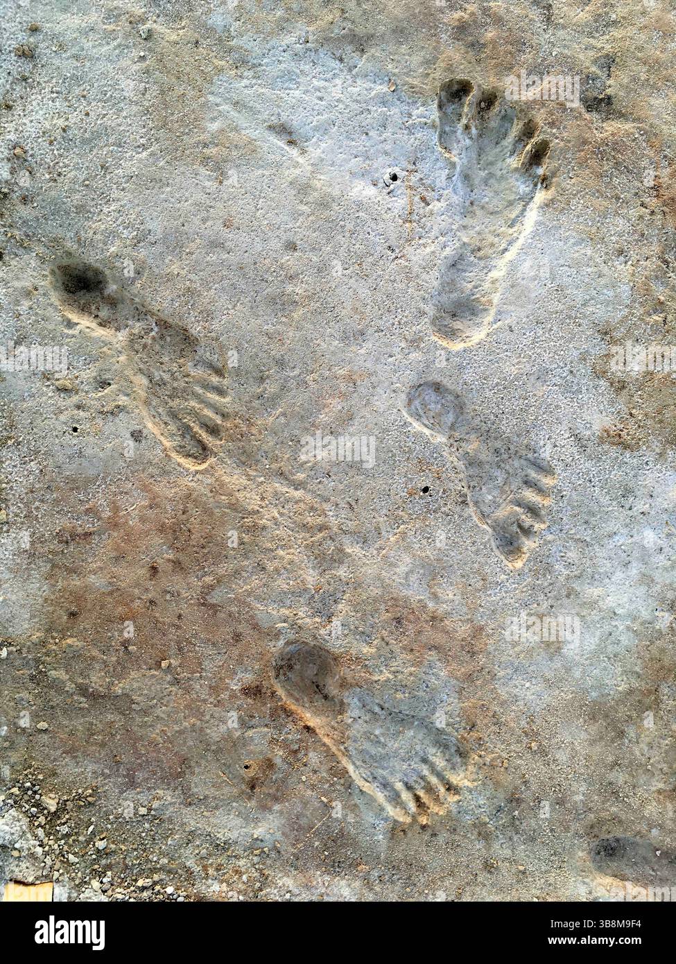5 agosto 2023, White Sands NP, NEW MEXICO, Stati Uniti d'America: Fossilized Ice Age Human Footprints set in gypsum mud that harged to rock stimato a 23.000-21.000 anni fa, 5 ottobre 2023 nel White Sands National Park, New Mexico, USA. L'area intorno all'antico lago di Otero è la più antica testimonianza diretta della presenza umana nelle Americhe. (Immagine di credito: © National Park Service/NPS/Planet Pix tramite ZUMA Press Wire) Foto Stock