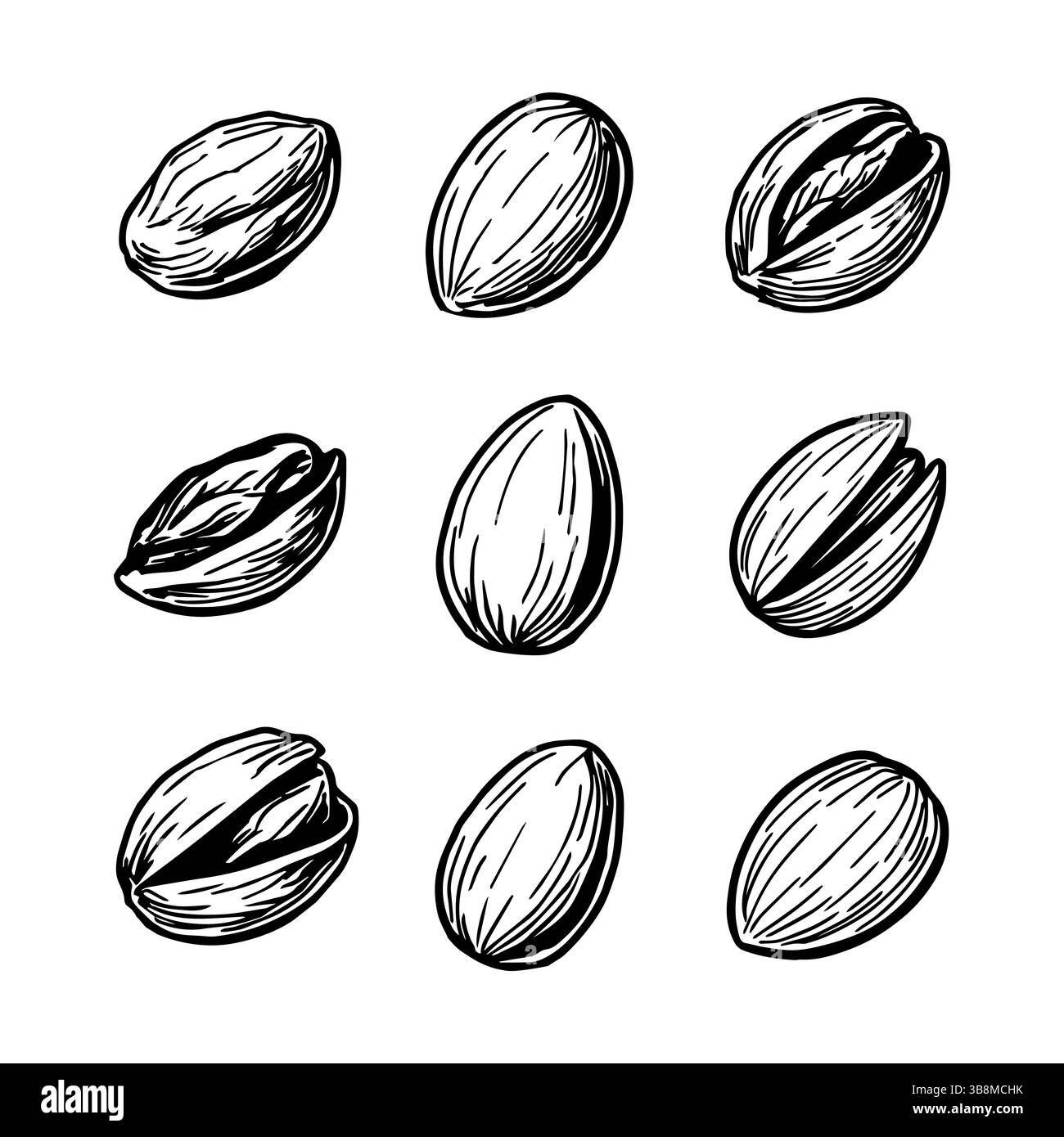 schizzo disegnato a mano di pistacchi. Schizzo di dadi vettoriali Illustrazione Vettoriale