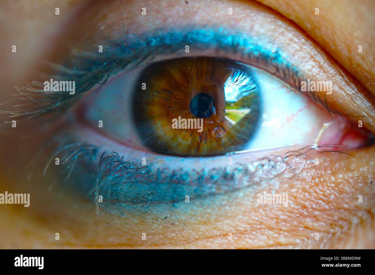 Macro dell'occhio di una ragazza irriconoscibile con trucco, dove si può vedere la pupilla marrone. Foto Stock