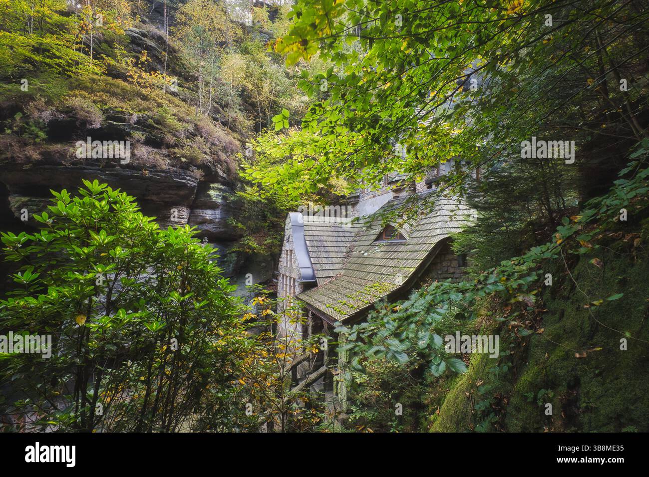 Paesaggio della Svizzera boema sassone della Germania ceca Foto Stock