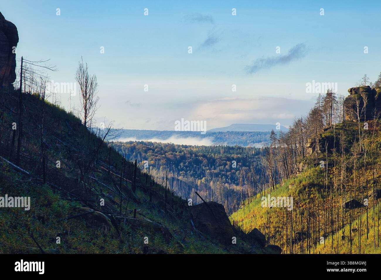 Paesaggio della Svizzera boema sassone della Germania ceca Foto Stock