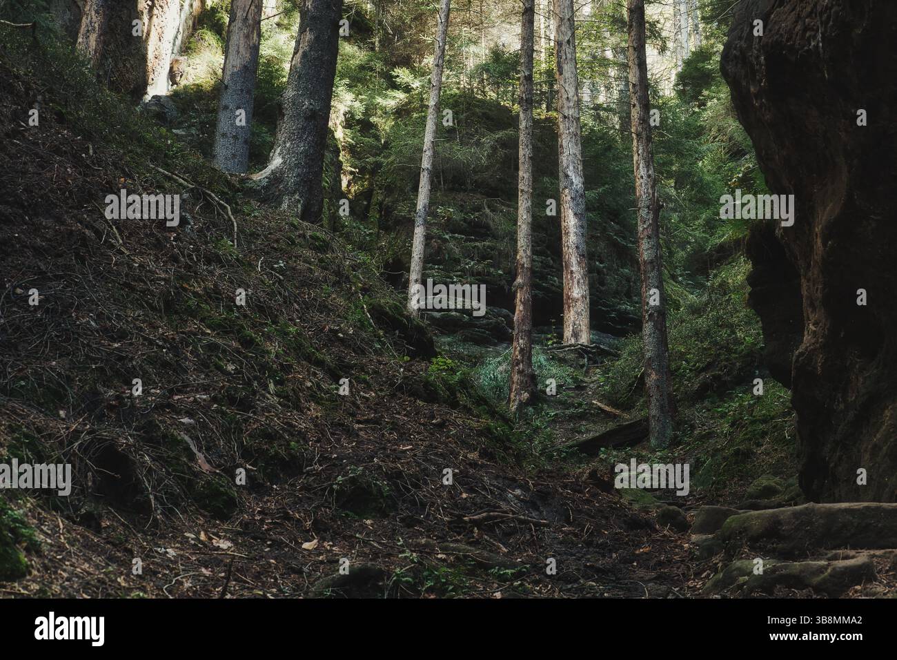 Paesaggio della Svizzera boema sassone della Germania ceca Foto Stock
