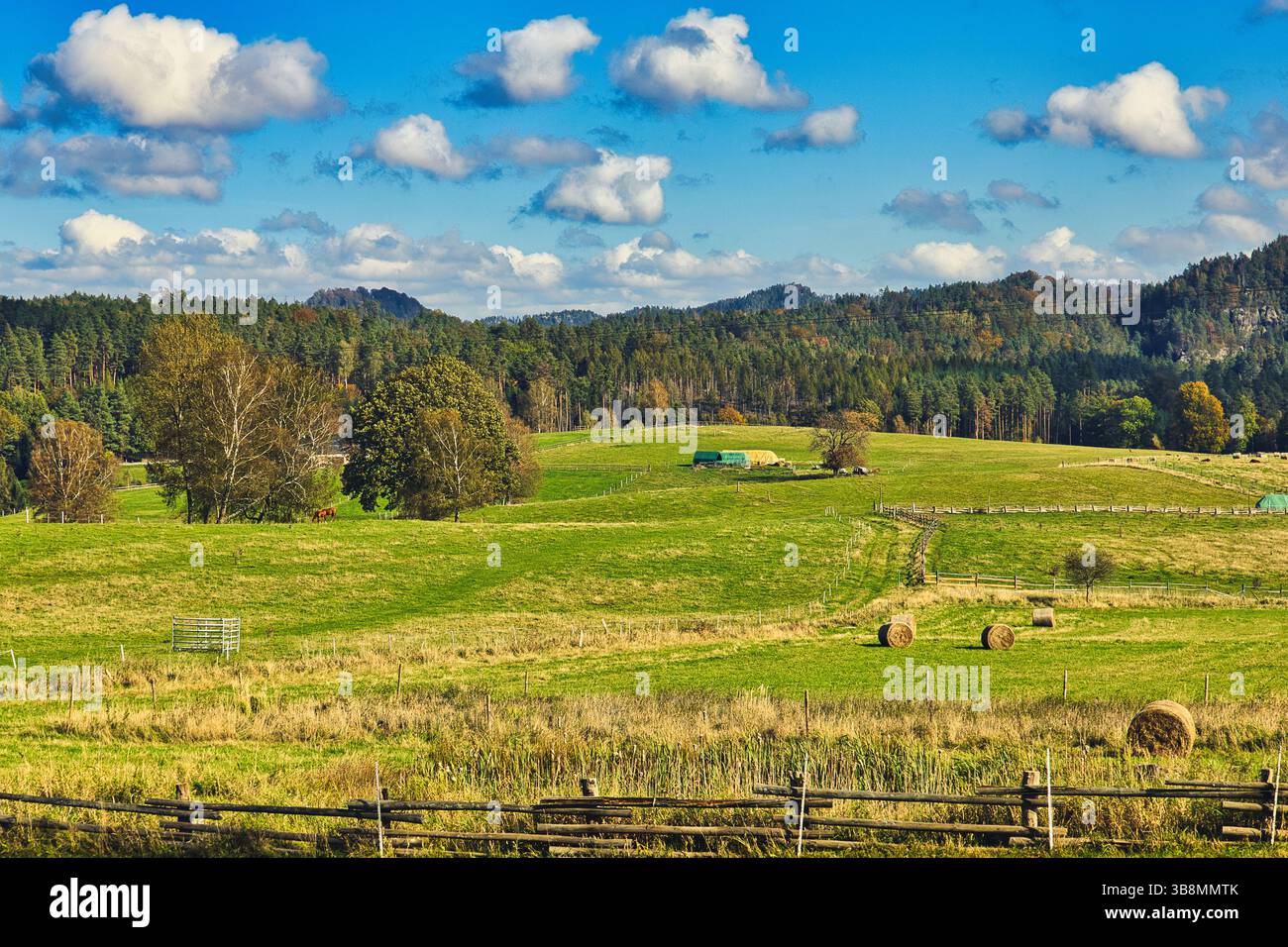 Paesaggio della Svizzera boema sassone della Germania ceca Foto Stock