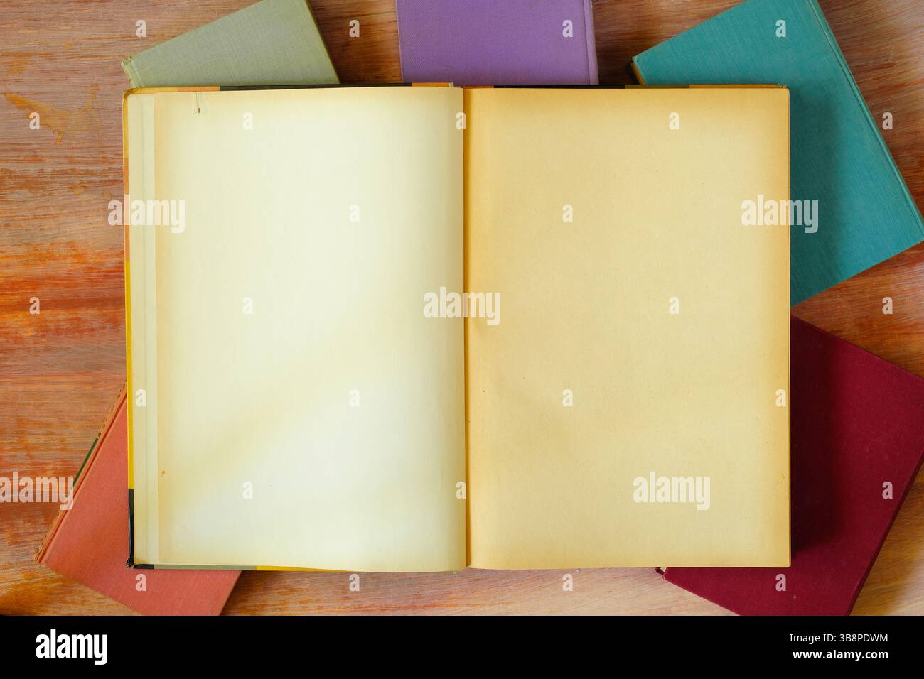 Apri modello libro con pagine libro vuote Foto Stock