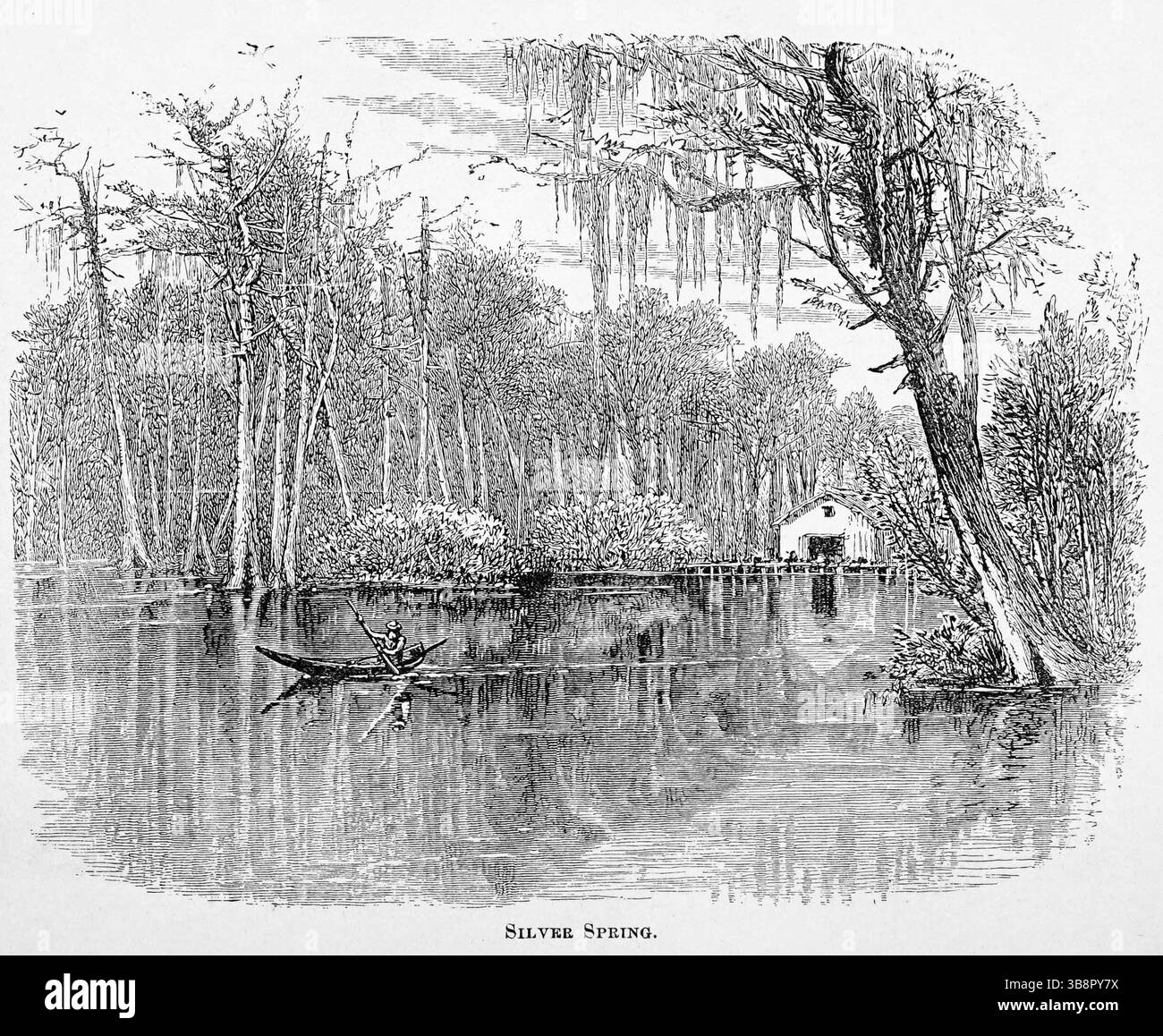 Silver Springs, Florida. illustrazione d'archivio del xix secolo Foto Stock