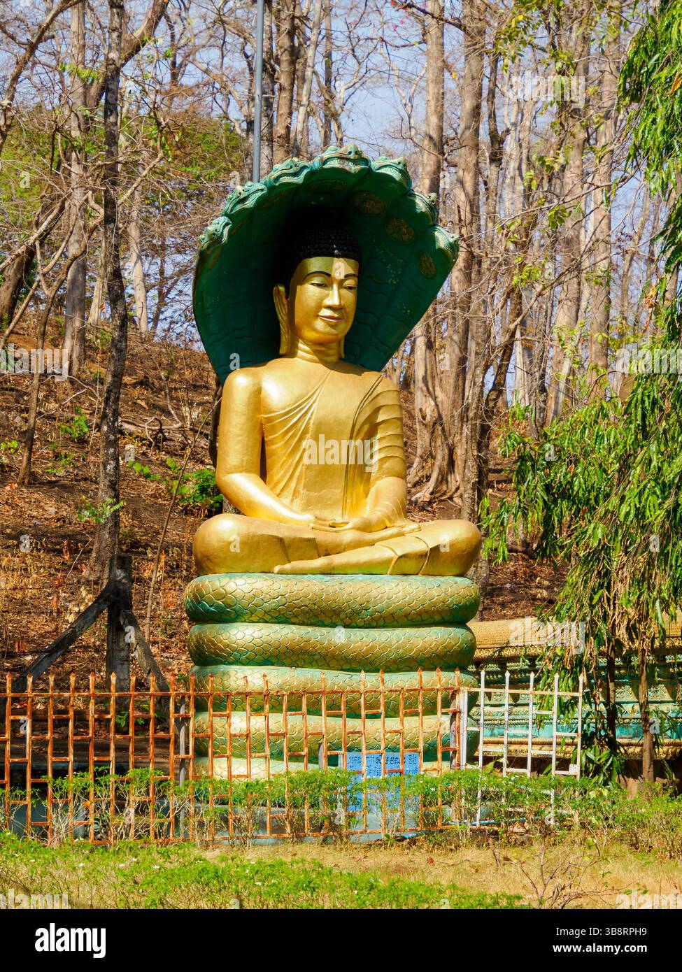 Buddha siede su un cobra verde che gli protegge la testa alla Pagoda Phnom Bros, Cambogia Foto Stock