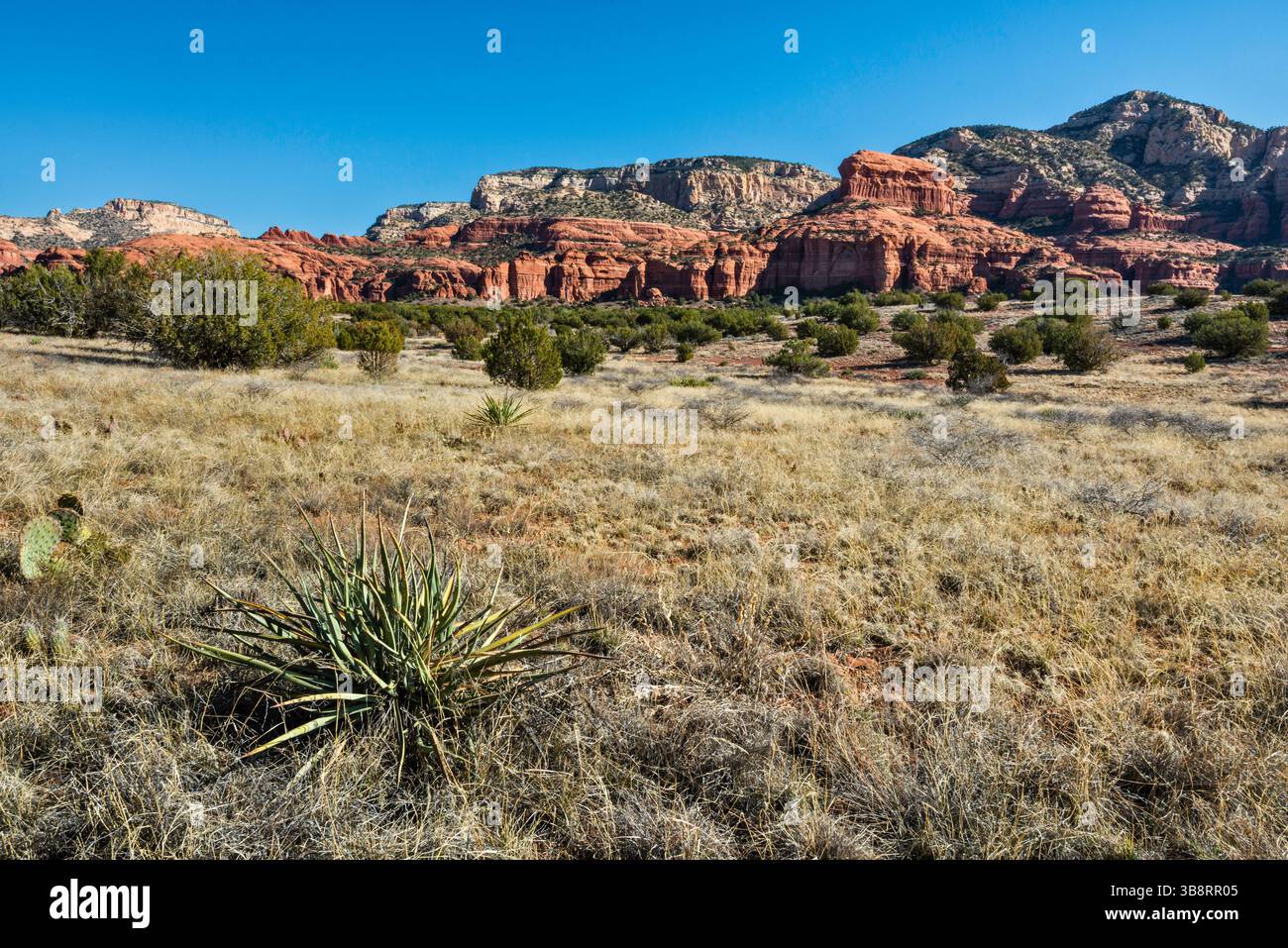 Le rovine di Palatki, le scogliere di arenaria di Red Rock-Secret Mountain Wilderness, la foresta nazionale di Coconino, vicino a Sedona, Arizona, Stati Uniti Foto Stock