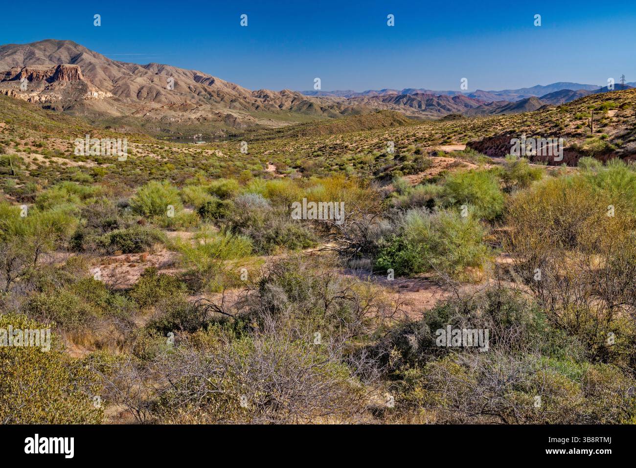 Sagebrush, Mazatzal Mountains in lontananza, da Apache Trail, vicino ai campeggi Davis Wash, Tonto National Forest, Arizona, USA Foto Stock