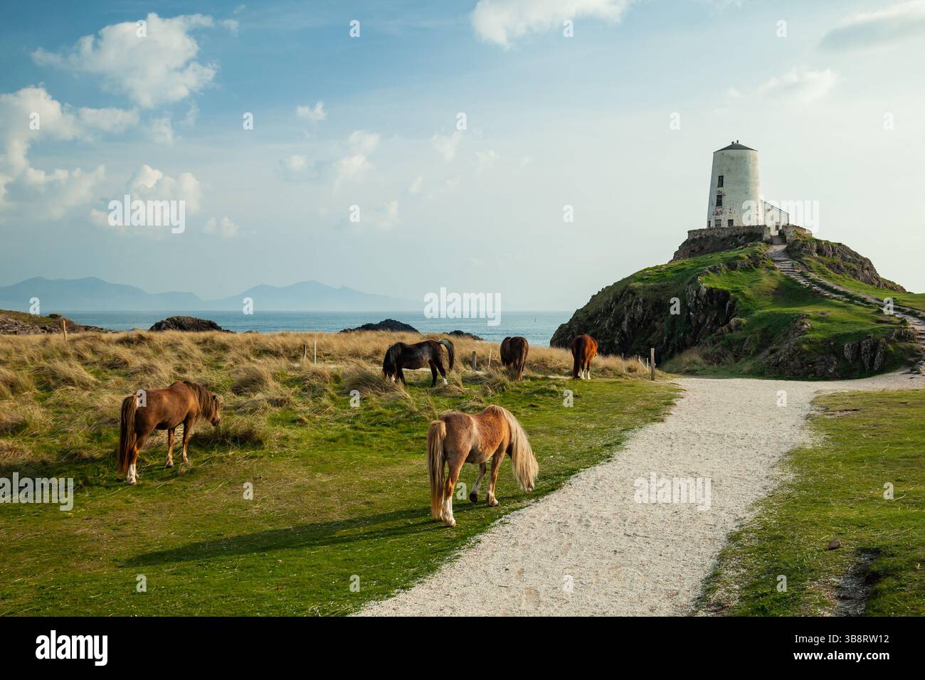 Pomeriggio primaverile al faro di TWR Mawr sull'isola di Llanddwyn, Anglesey, Galles. Foto Stock