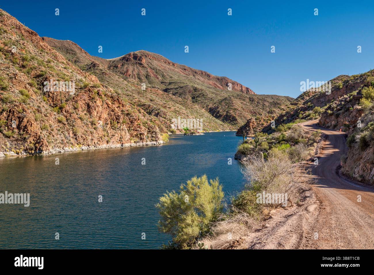 Lago Apache sul fiume Salt, vicino alla diga Theodore Roosevelt, alle montagne Mazatzal, vista dall'Apache Trail, Tonto National Forest, Arizona, USA Foto Stock