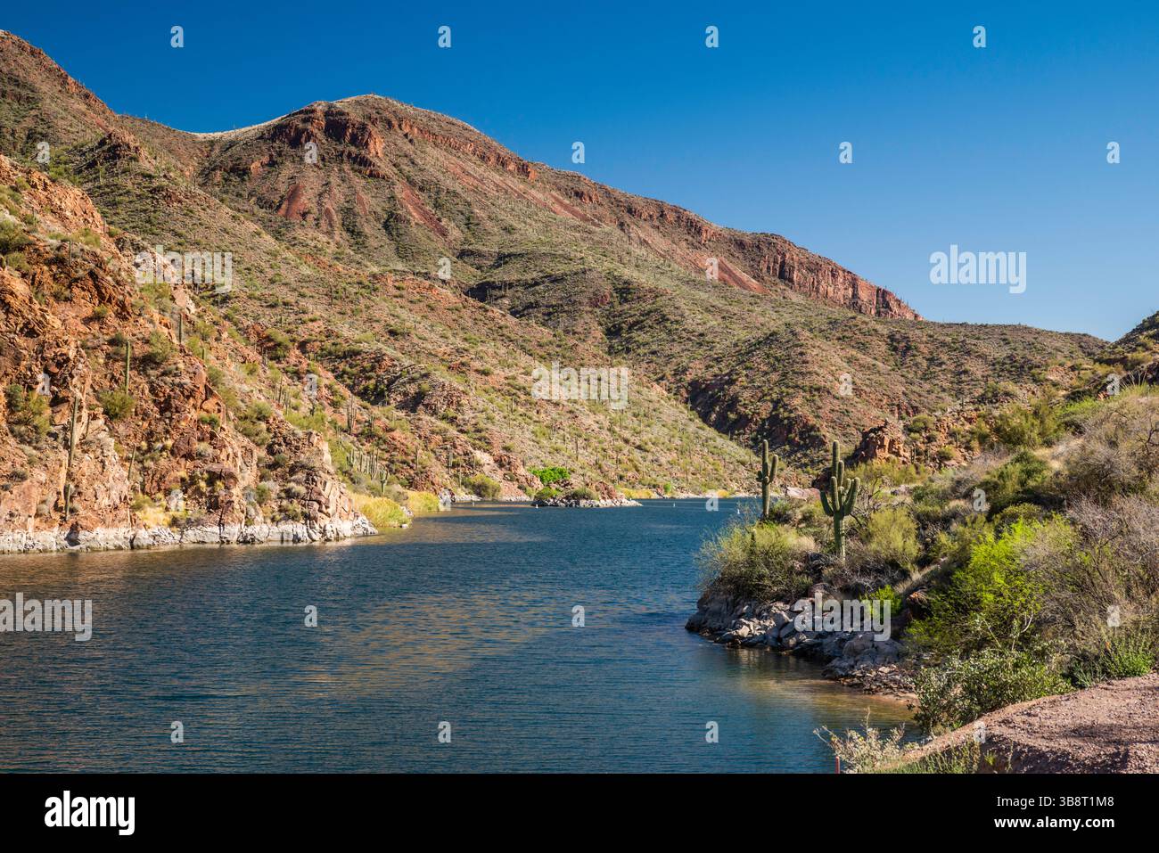 Lago Apache sul fiume Salt, vicino alla diga Theodore Roosevelt, alle montagne Mazatzal, vista dall'Apache Trail, Tonto National Forest, Arizona, USA Foto Stock
