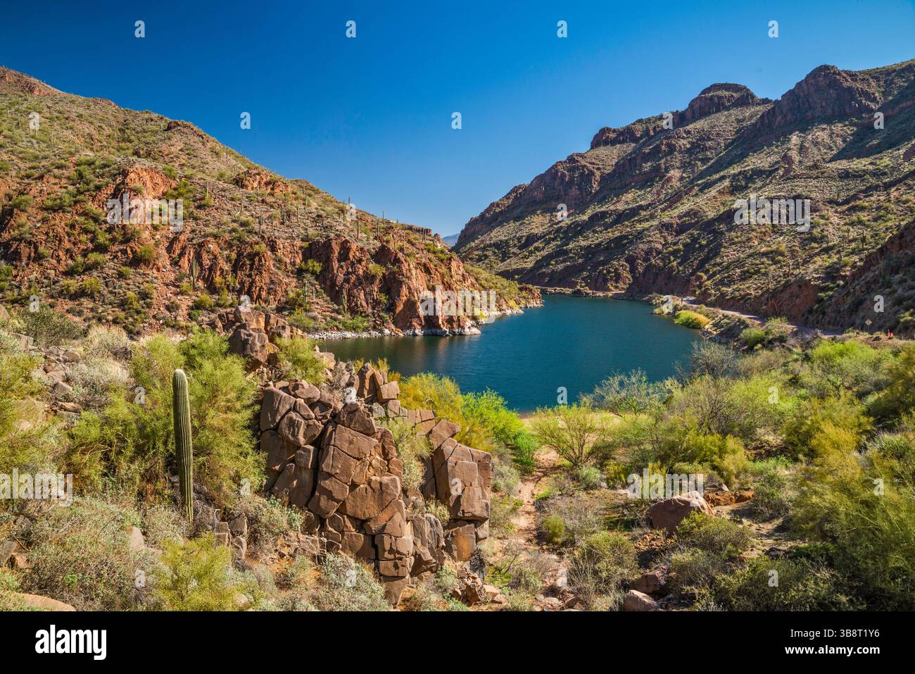 Lago Apache sul fiume Salt, vicino alla diga Theodore Roosevelt, alle montagne Mazatzal, vista dall'Apache Trail, Tonto National Forest, Arizona, USA Foto Stock