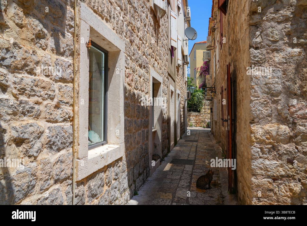 Stretta strada lastricata nella città vecchia di Budva, una città costiera fortificata costruita dalla Repubblica di Venezia lungo la costa del mare Adriatico in Montenegro Foto Stock