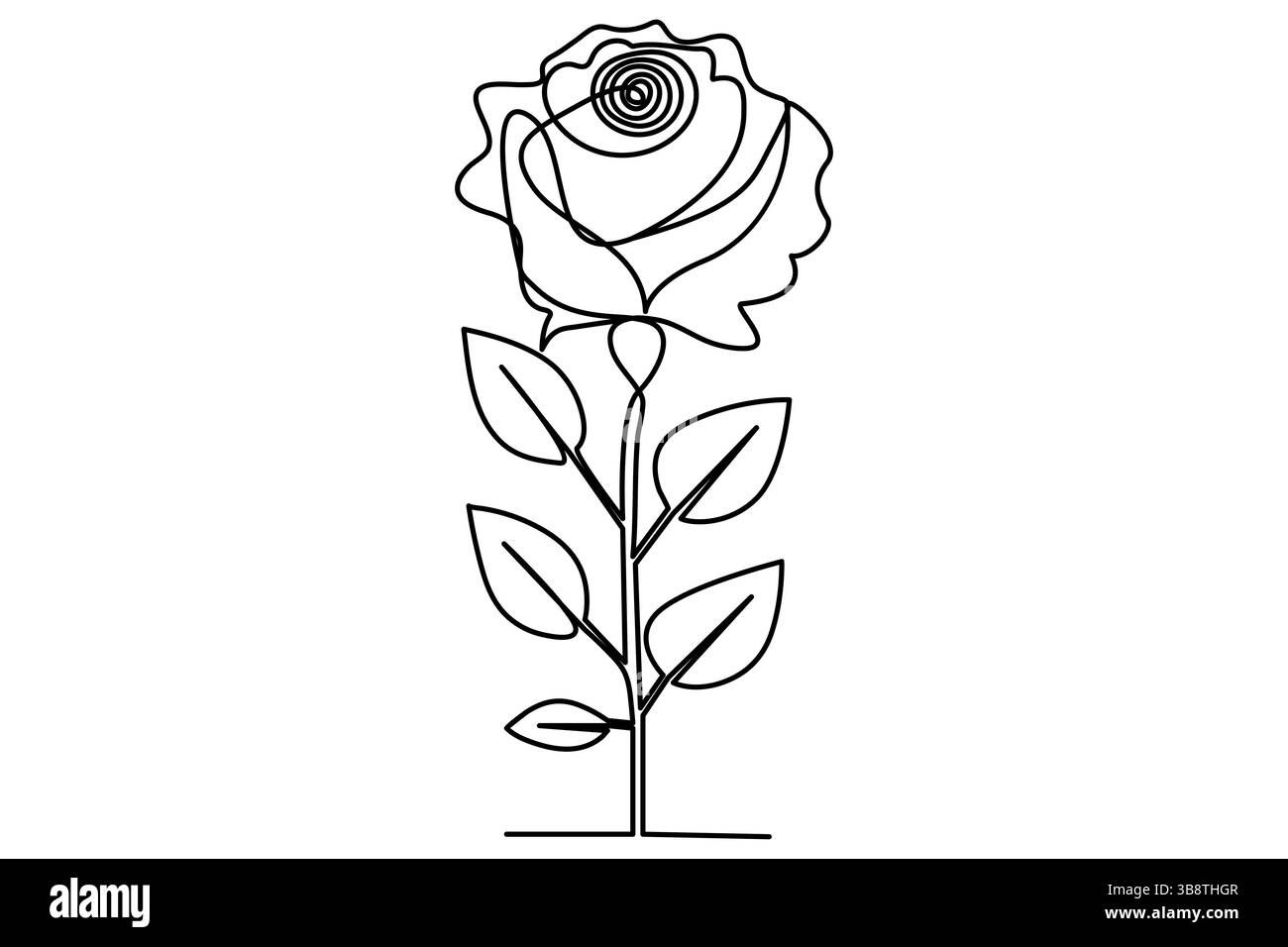 Disegno a linea singola continuo del fiore di rosa dell'illustrazione vettoriale del contorno Illustrazione Vettoriale