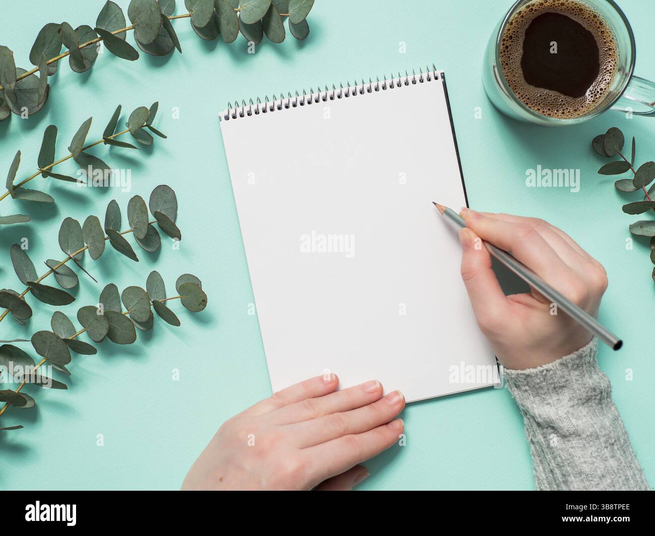Carta bianca notebook e mani femminili con la matita. Carta vuota sketchbook con pincil nelle mani della donna su sfondo blu. Vista superiore piatta o laici. Copia sp Foto Stock
