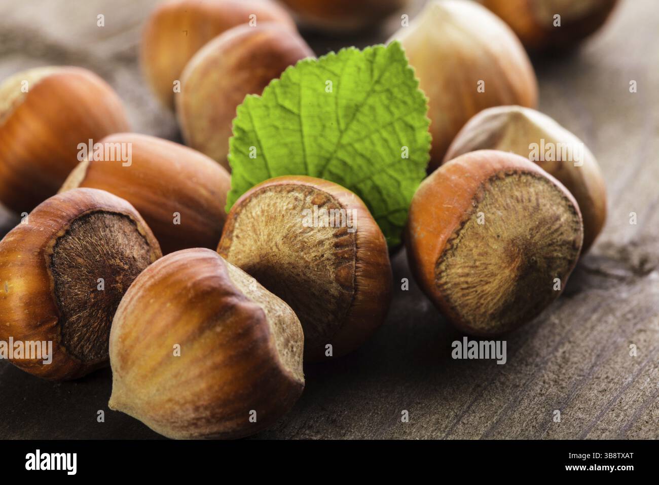 Le nocciole con guscio e foglia verde sul tavolo di legno Foto Stock