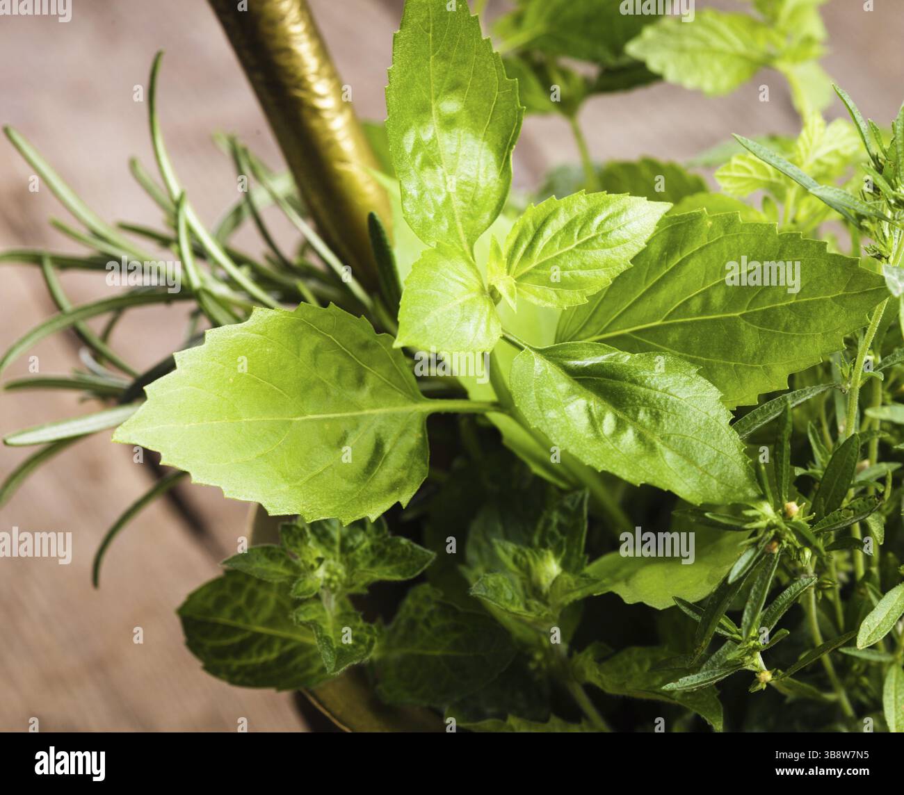 Le erbe fresche nel mortaio di rame sul tavolo Foto Stock