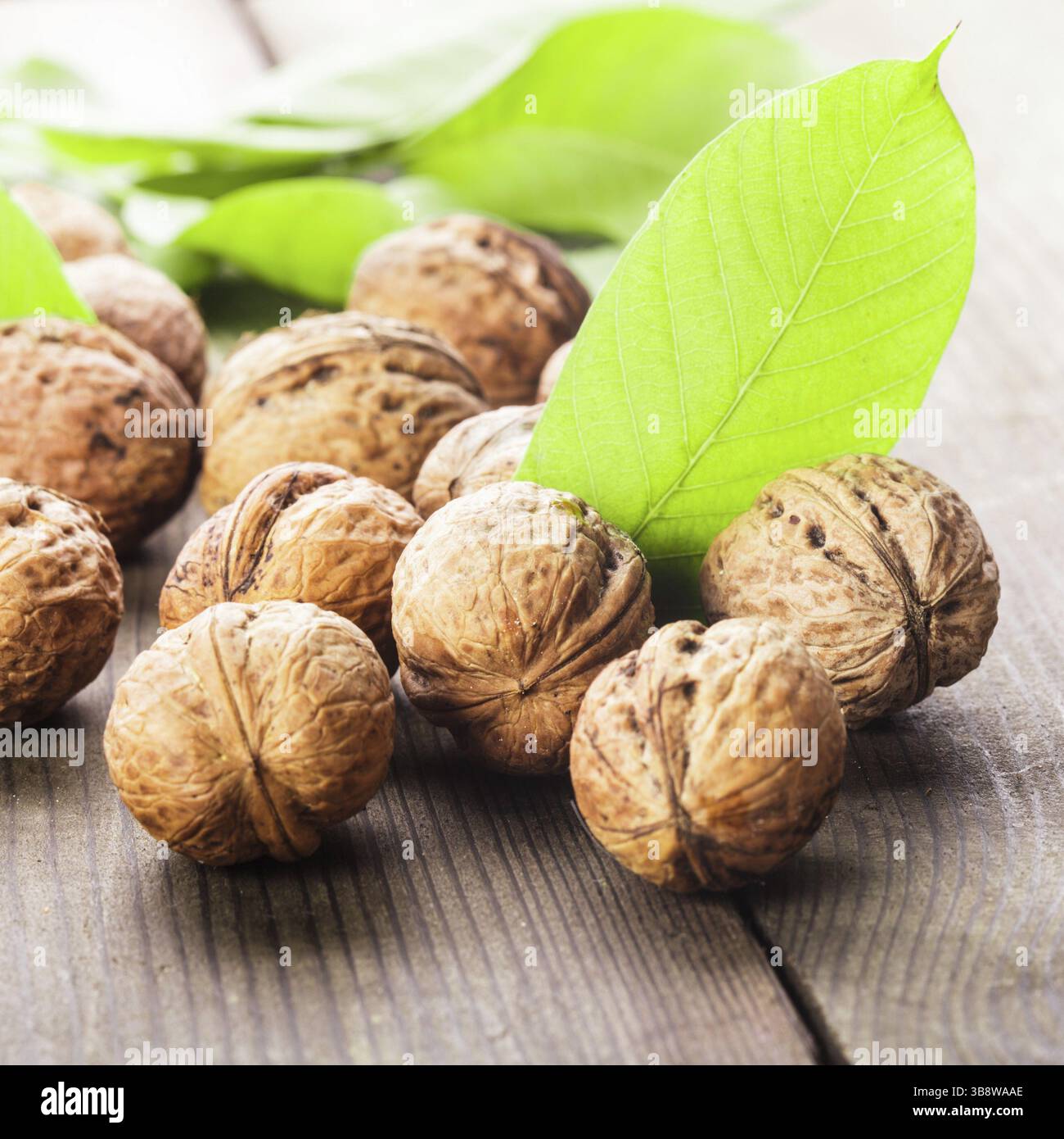 Noci comuni con guscio e foglia verde sul tavolo di legno Foto Stock