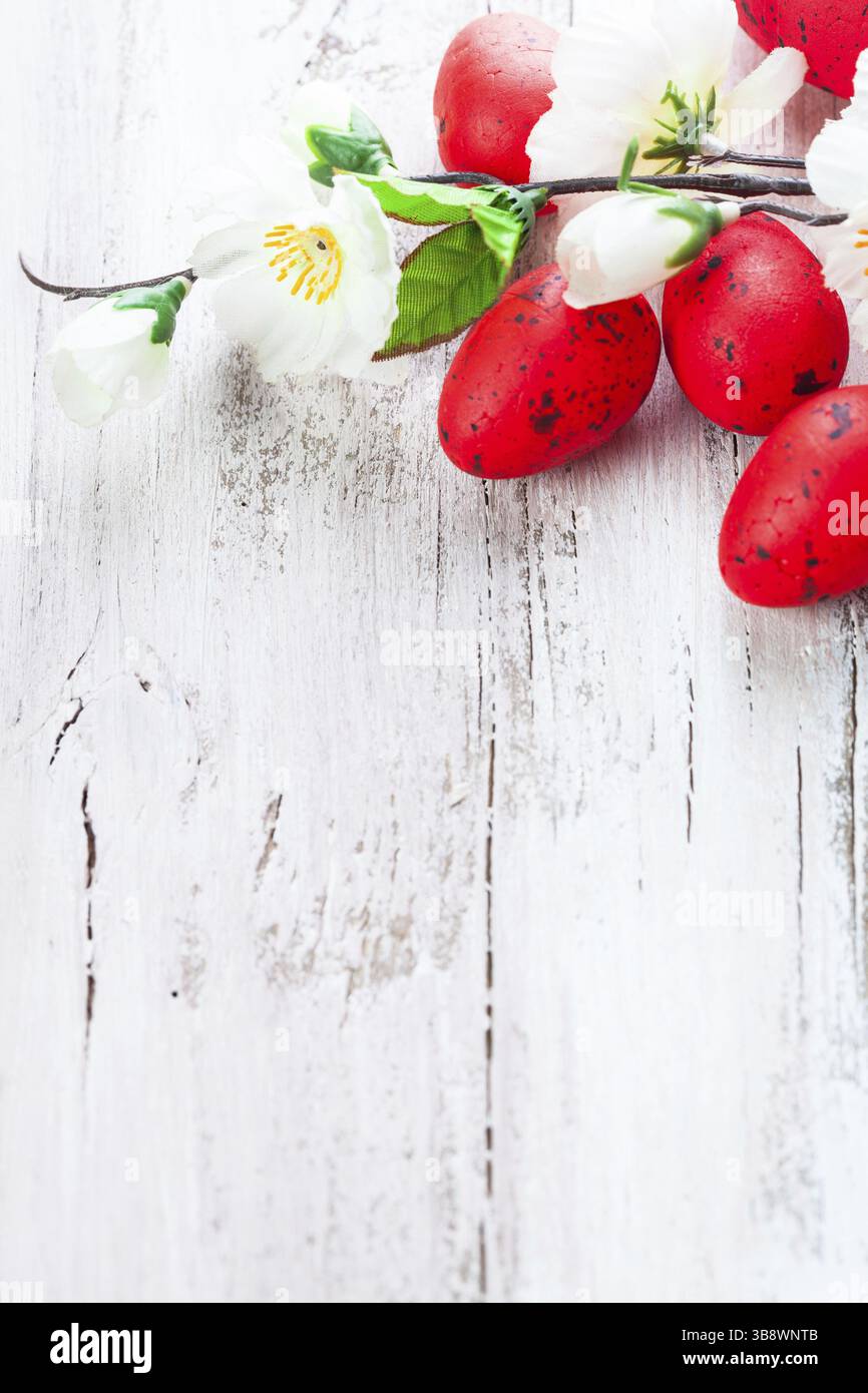 Red spotted uova con fiori di Apple sul malandato tavolo in legno Foto Stock