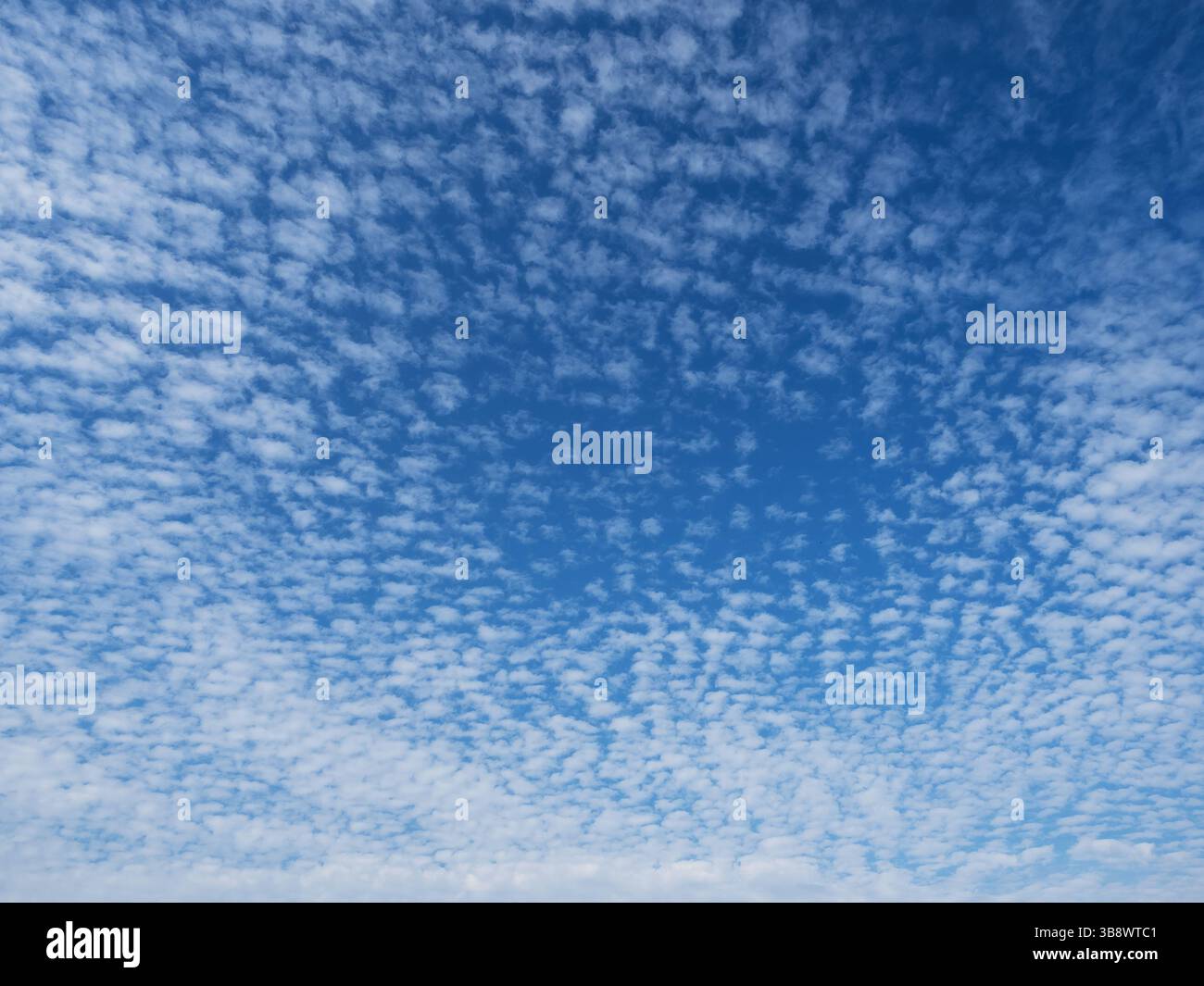 Cielo blu con insolita struttura di nuvole bianche astratte. Strane e suggestive nuvole creano un motivo per la texture. Foto Stock