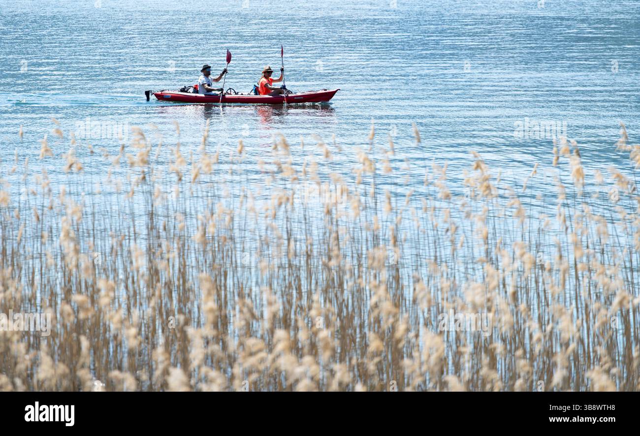 Kayak rosso con due rematori che scivolano attraverso le calme acque blu, incorniciate da canne dorate e da un paesaggio acquatico aperto, incarnando il lavoro di squadra Foto Stock Kayak rosso con due rematori che scivolano attraverso le calme acque blu, incorniciate da canne dorate e da un paesaggio acquatico aperto, incarnando il lavoro di squadra Foto Stock