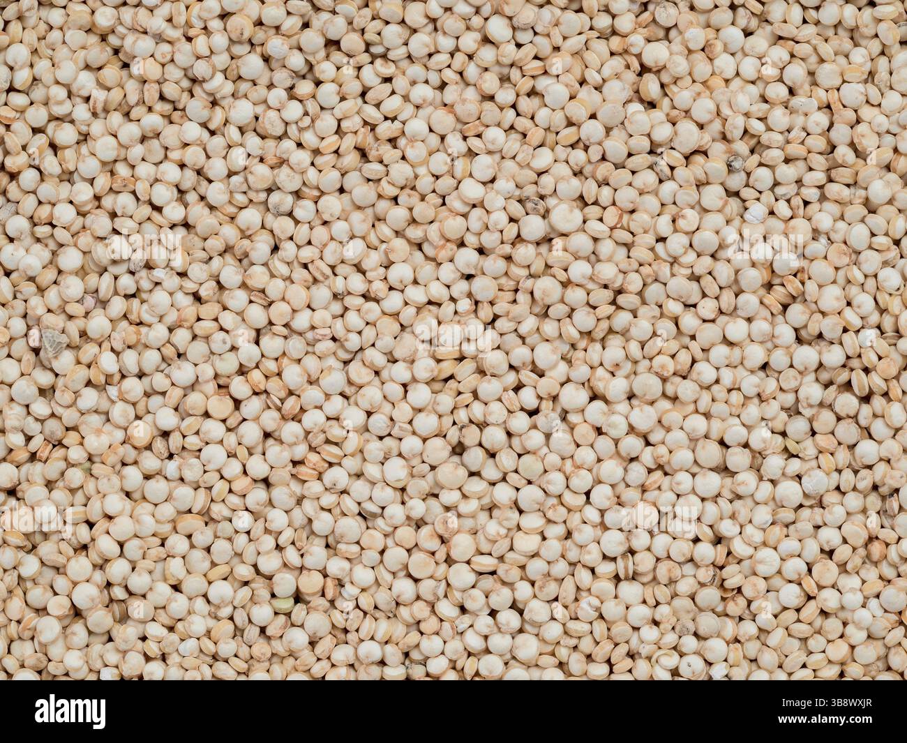 Grano di quinoa. Non cotti materie la quinoa come sfondo. Sano cibo vegan concetto e modello Foto Stock