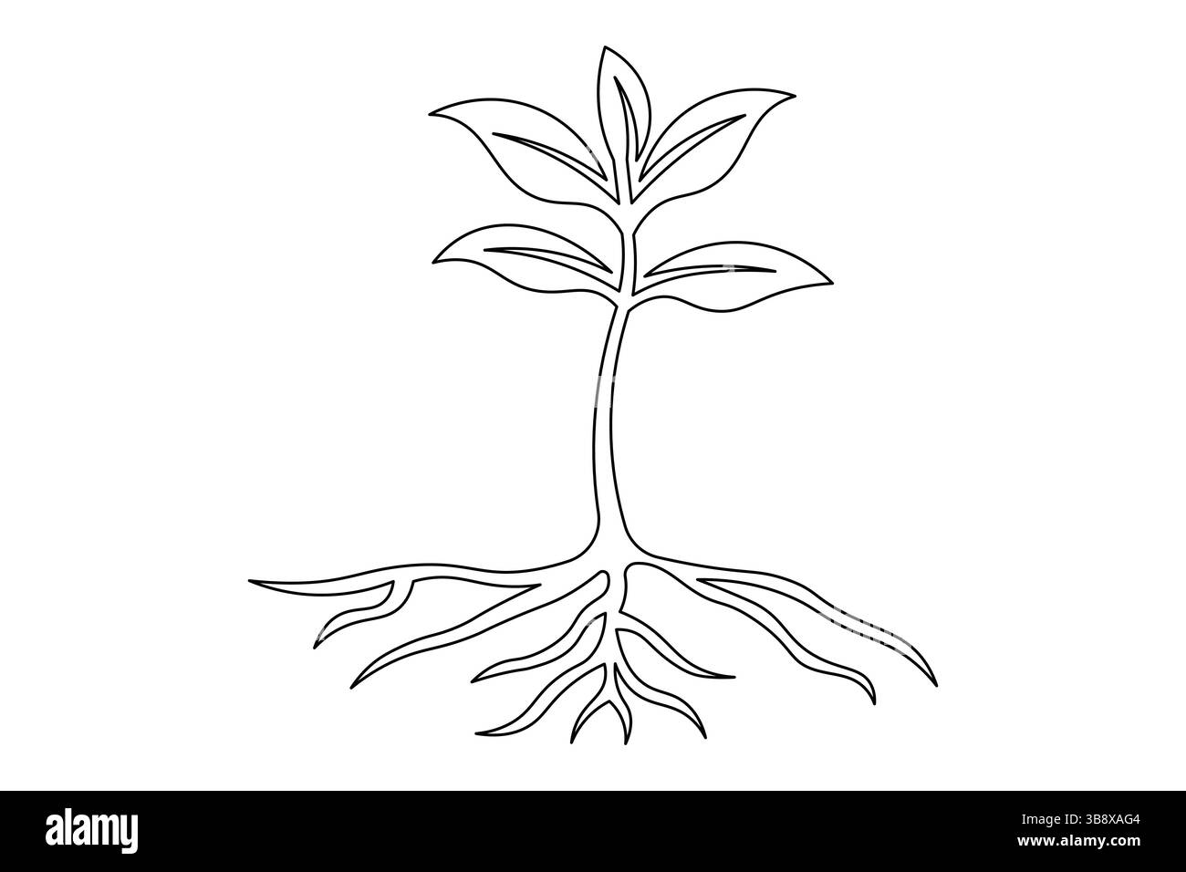 Pianta a una linea minimalista che disegna un'elegante arte botanica per un design ispirato alla natura. Vettore Illustrazione Vettoriale
