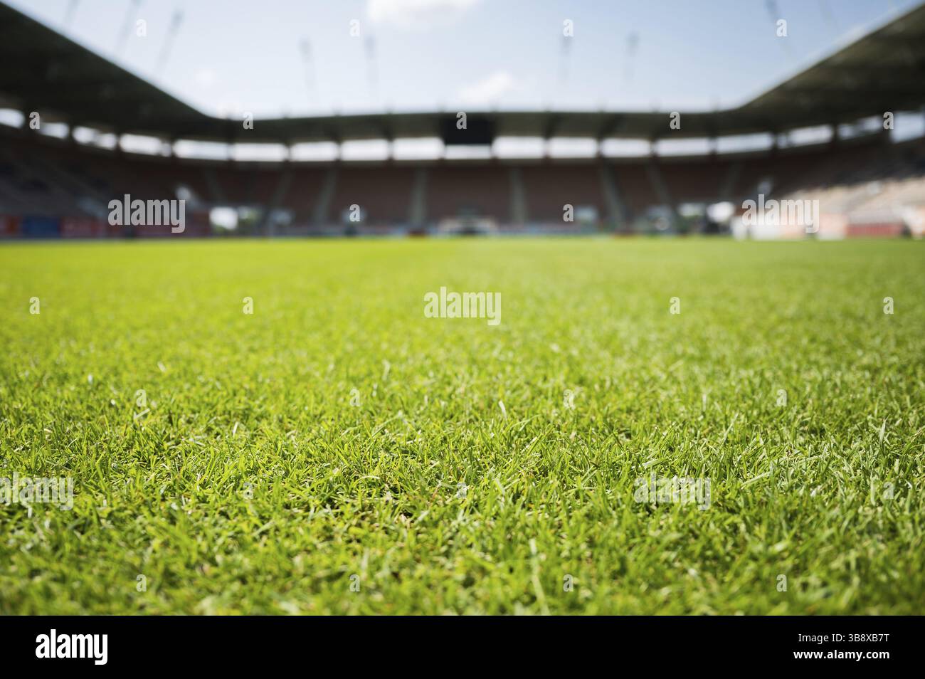 Erba allo stadio di calcio durante le soleggiate giornate estive a Lubin, Polonia, Europa Foto Stock